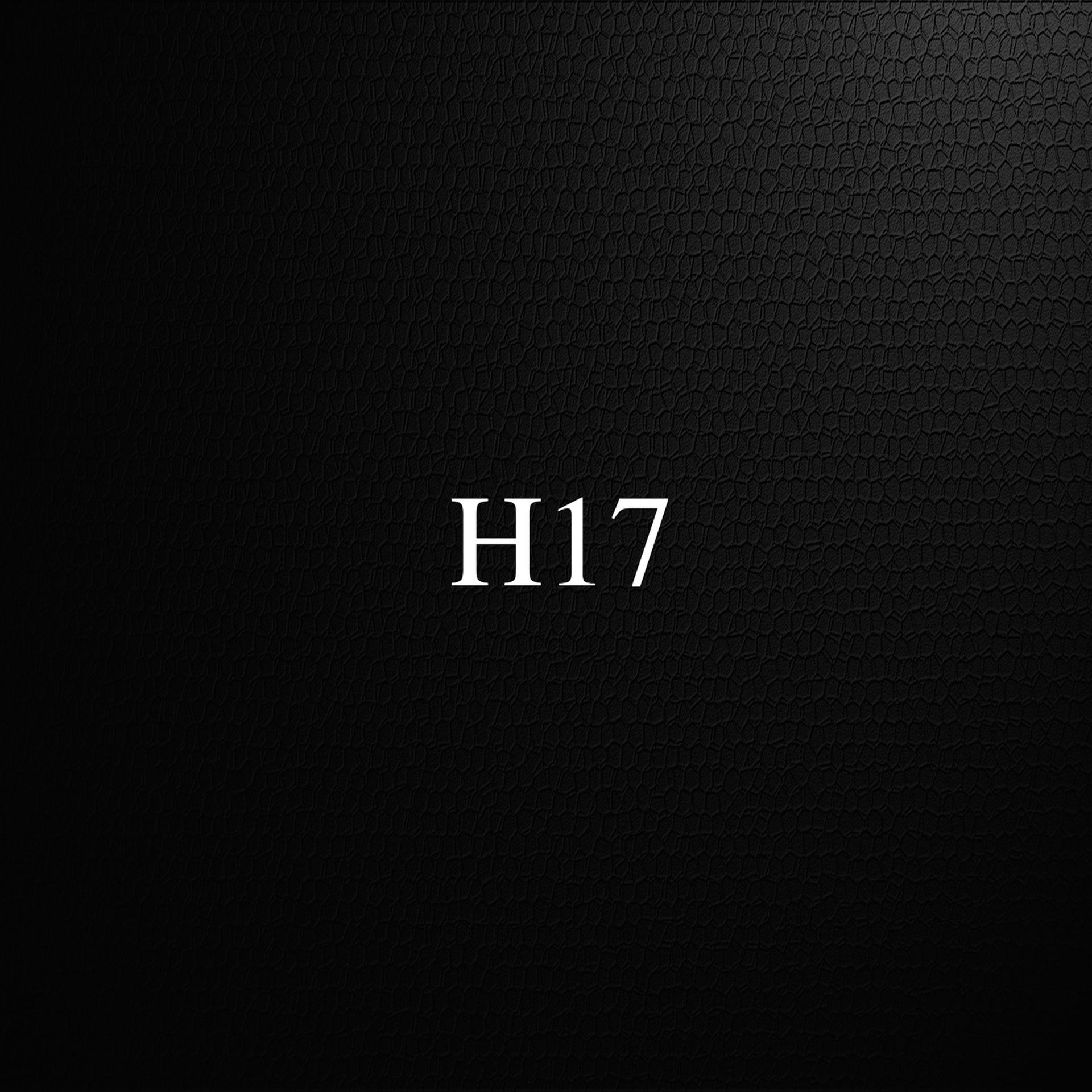 Постер альбома H17