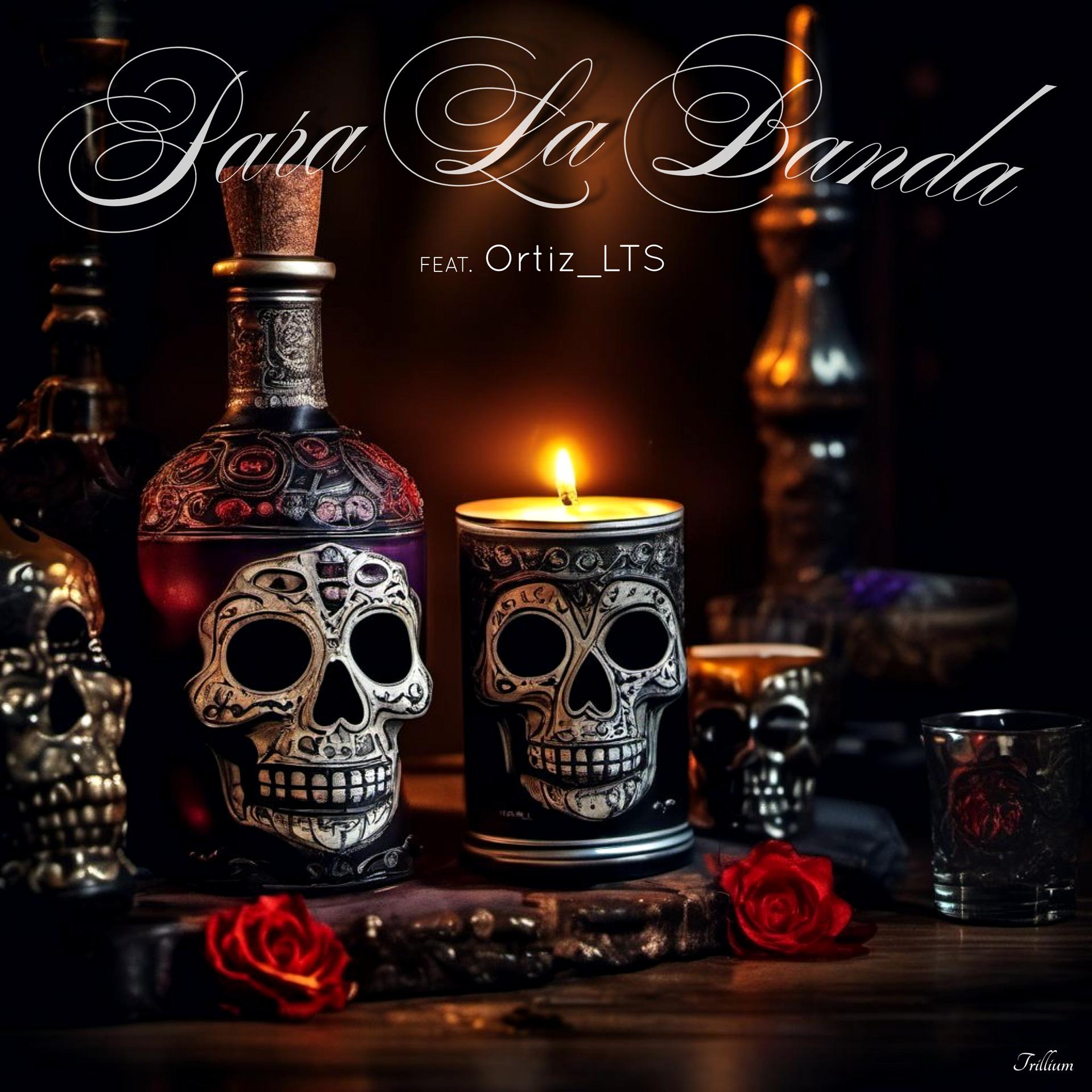 Постер альбома Para la Banda