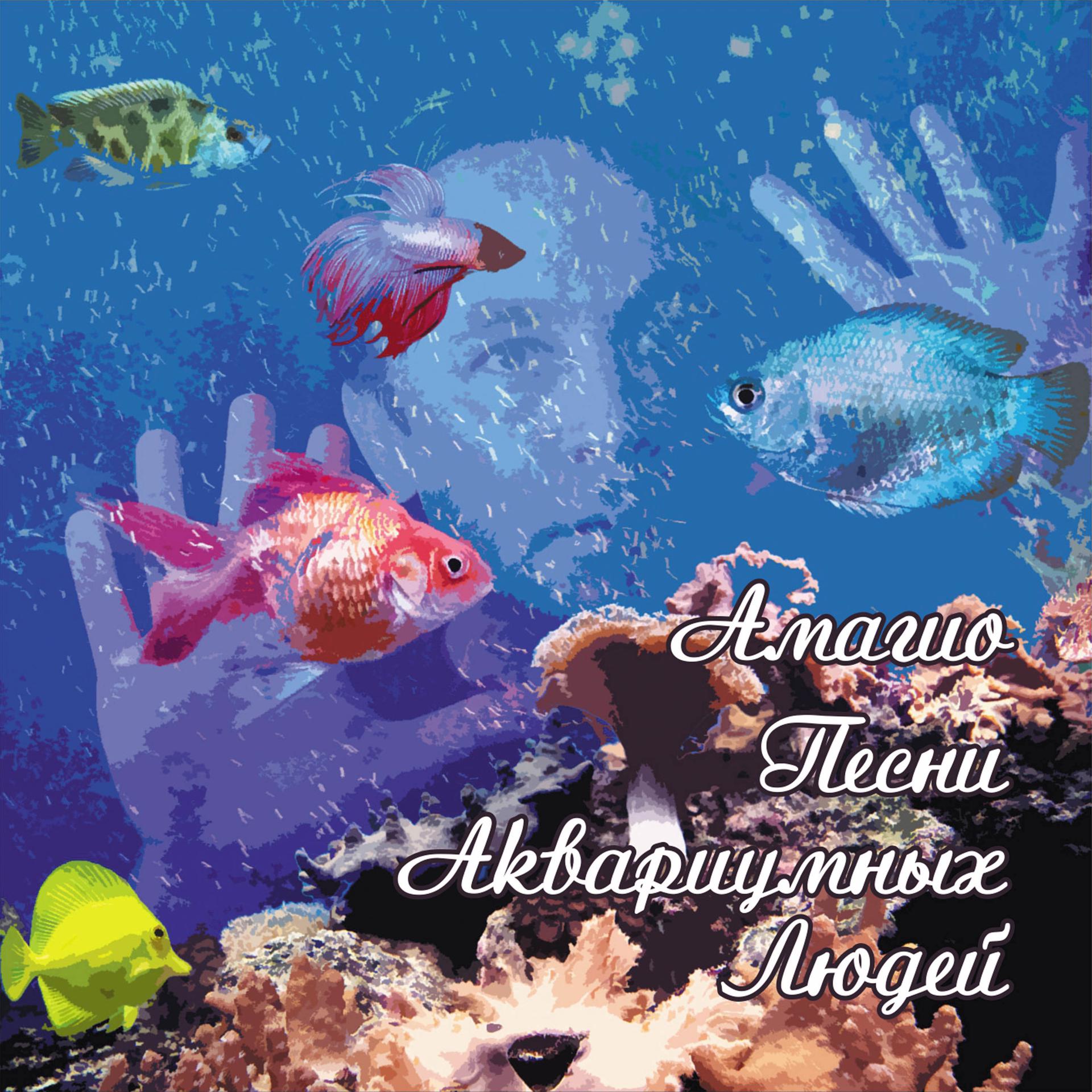 Постер альбома Песни аквариумных людей