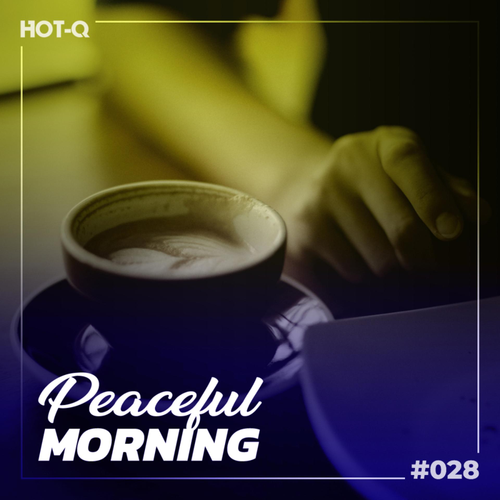 Постер альбома Peaceful Morning 028