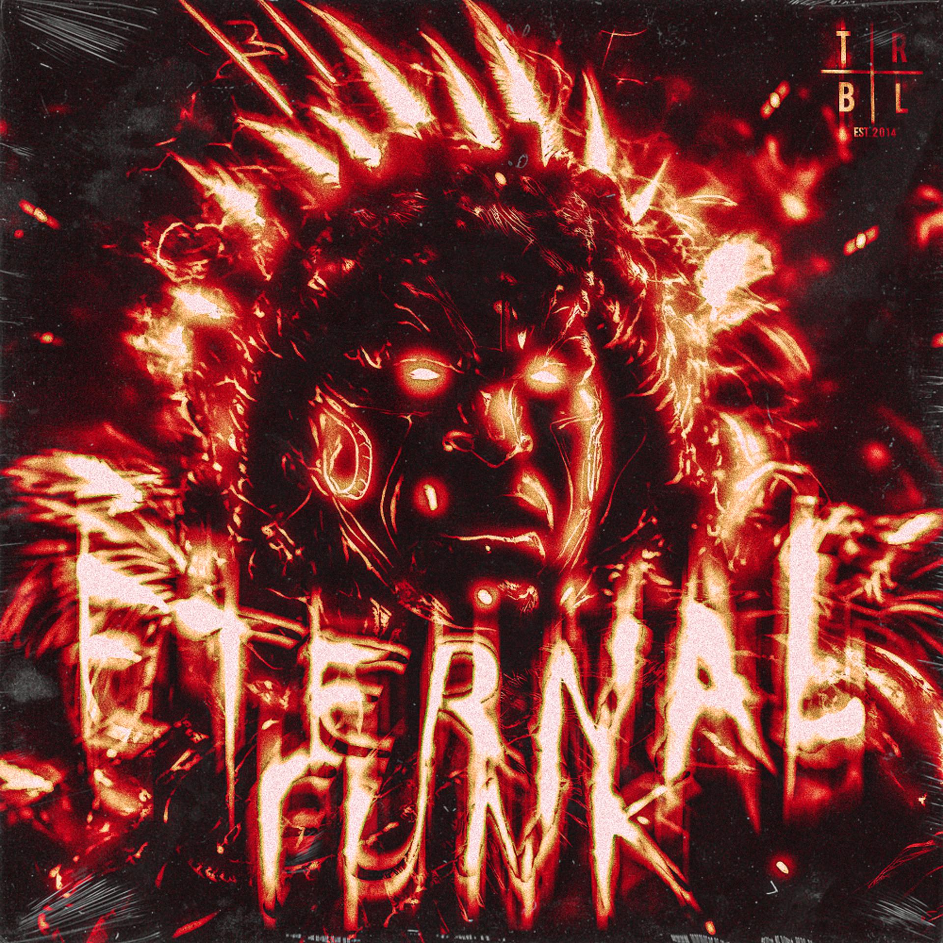 Постер альбома Eternal Funk
