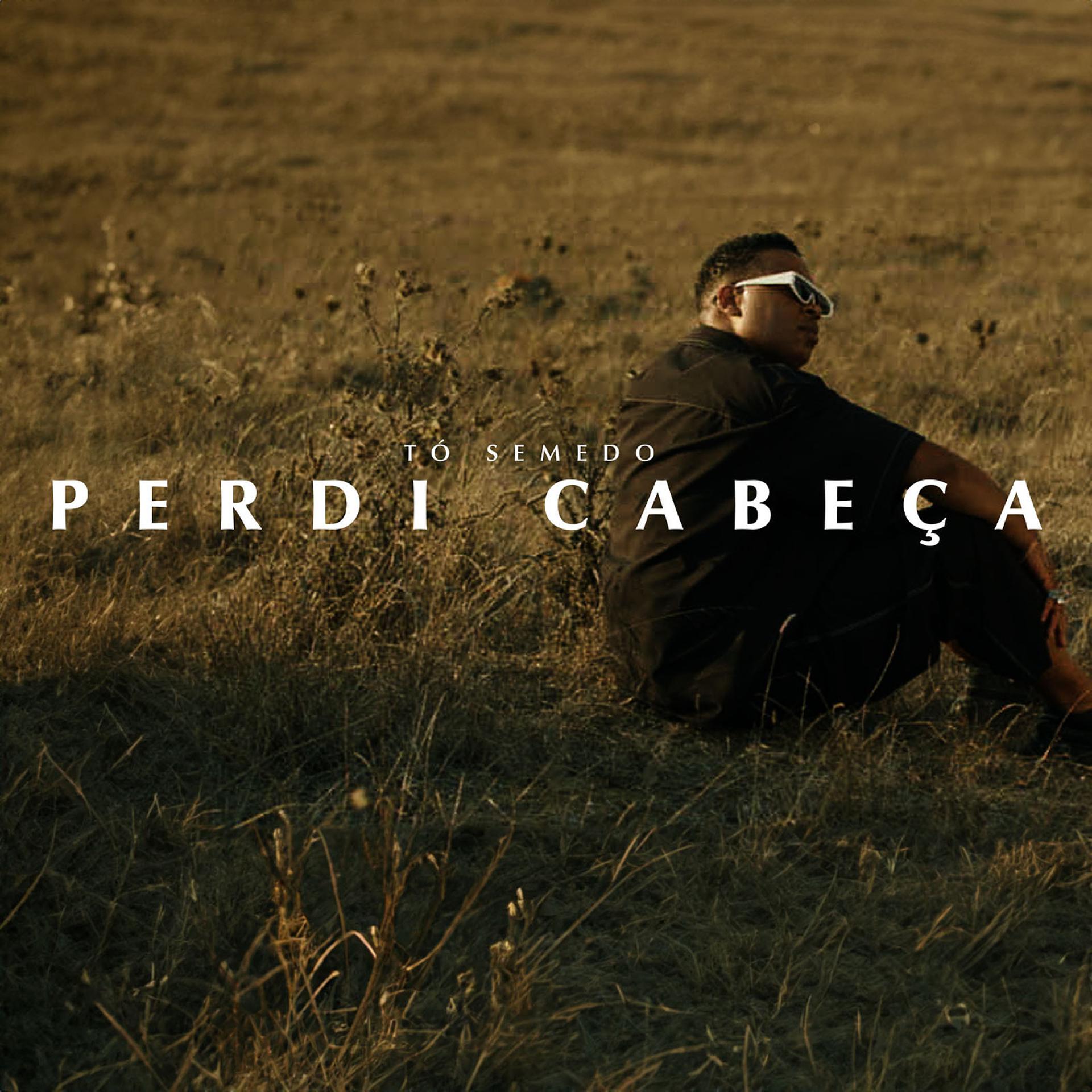 Постер альбома Perdi Cabeça