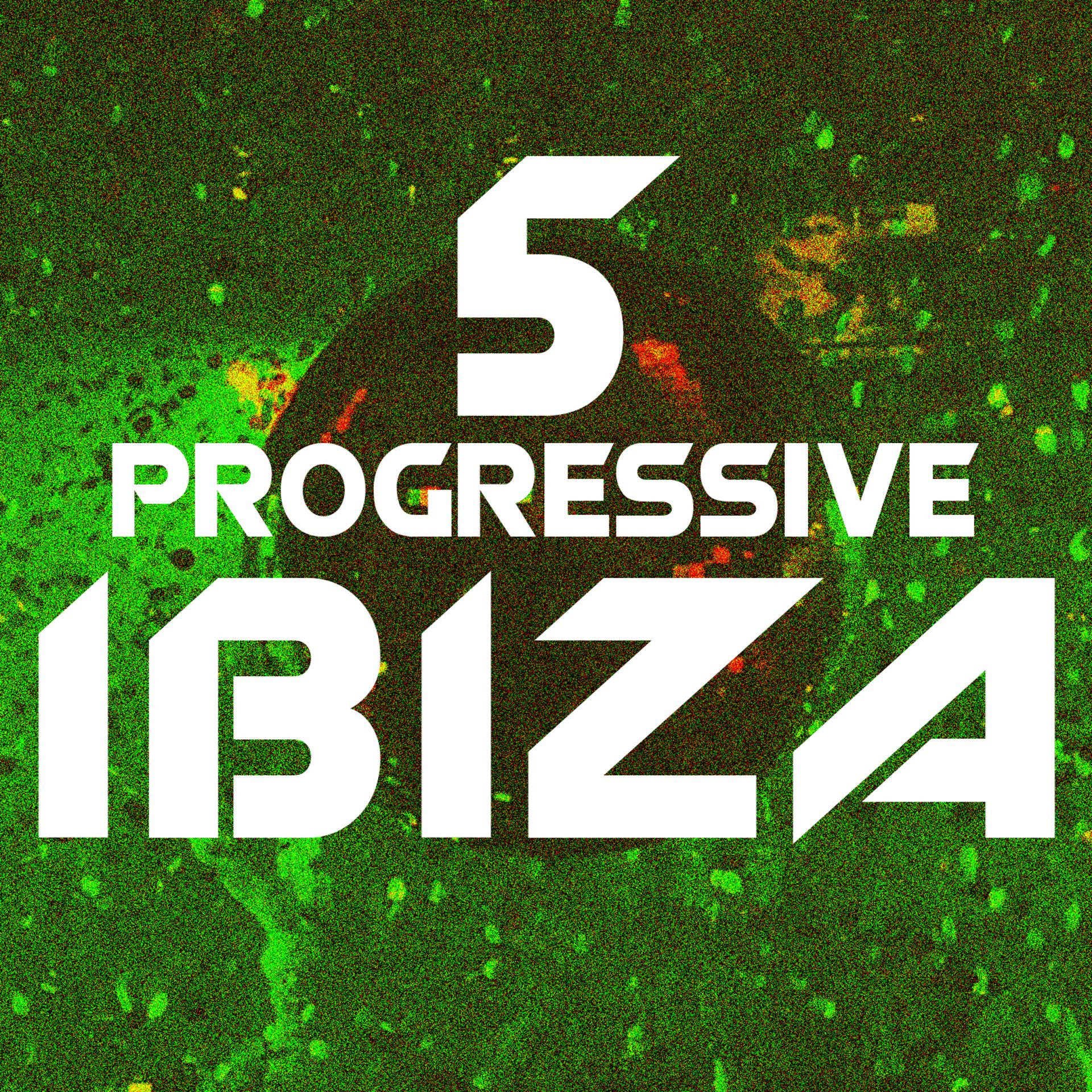 Постер альбома Progressive Ibiza, Vol. 5