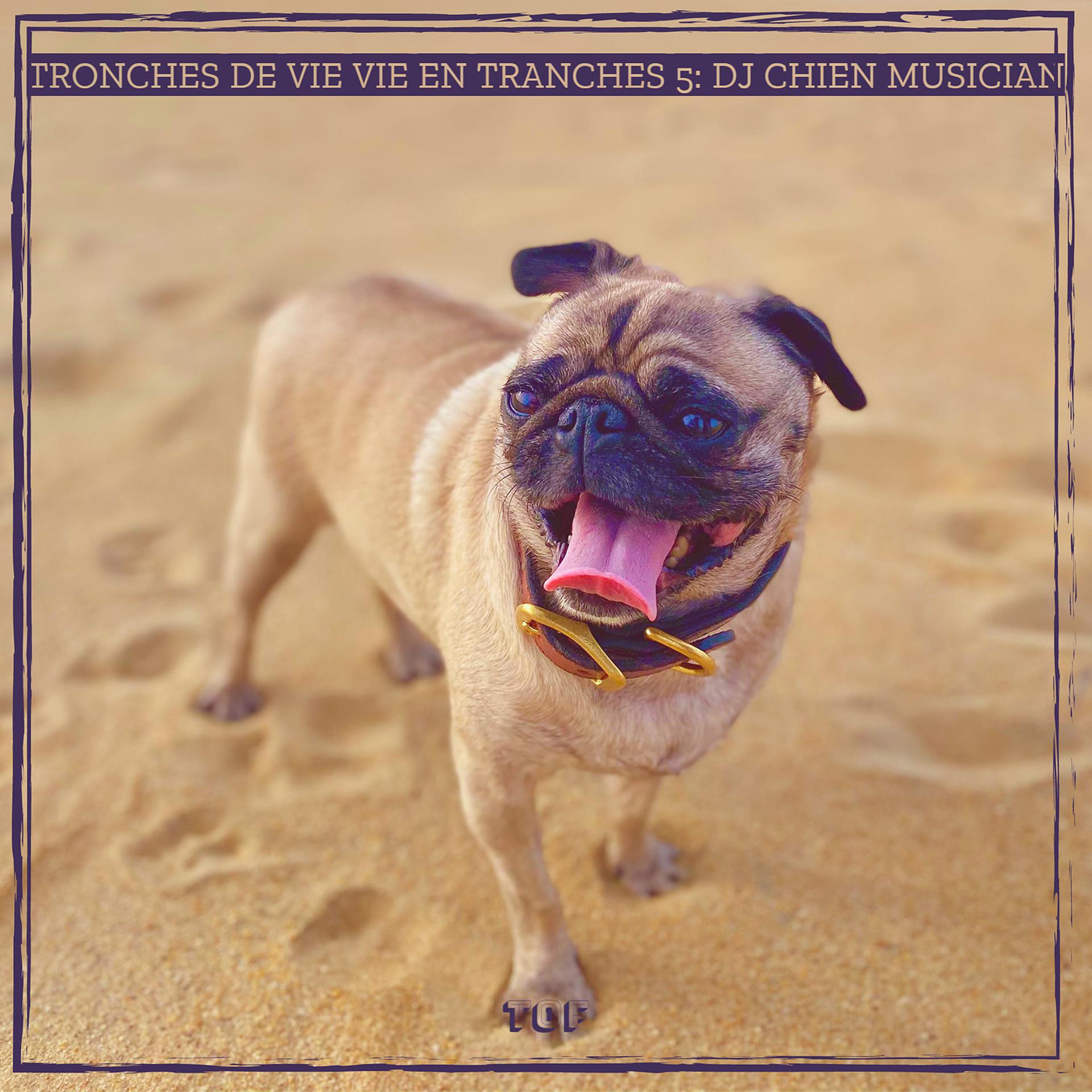 Постер альбома tronches de vie vie en tranches 5  DJ Chien Musician