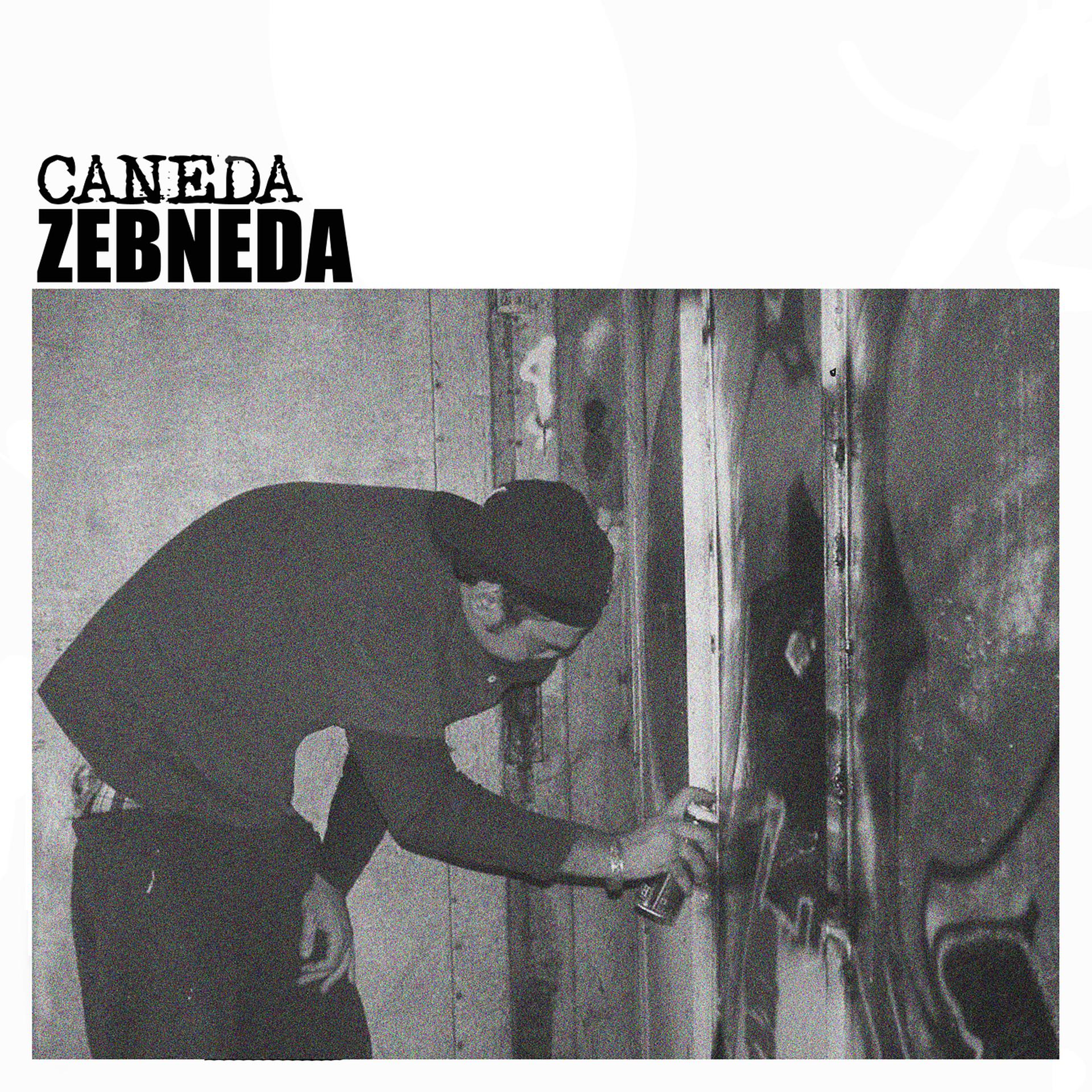 Постер альбома Zebneda