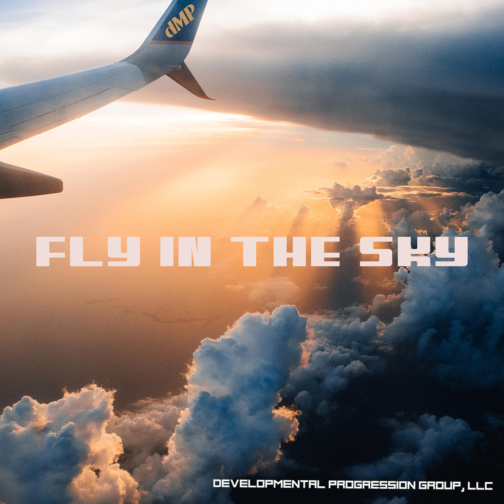 Постер альбома Fly in the Sky
