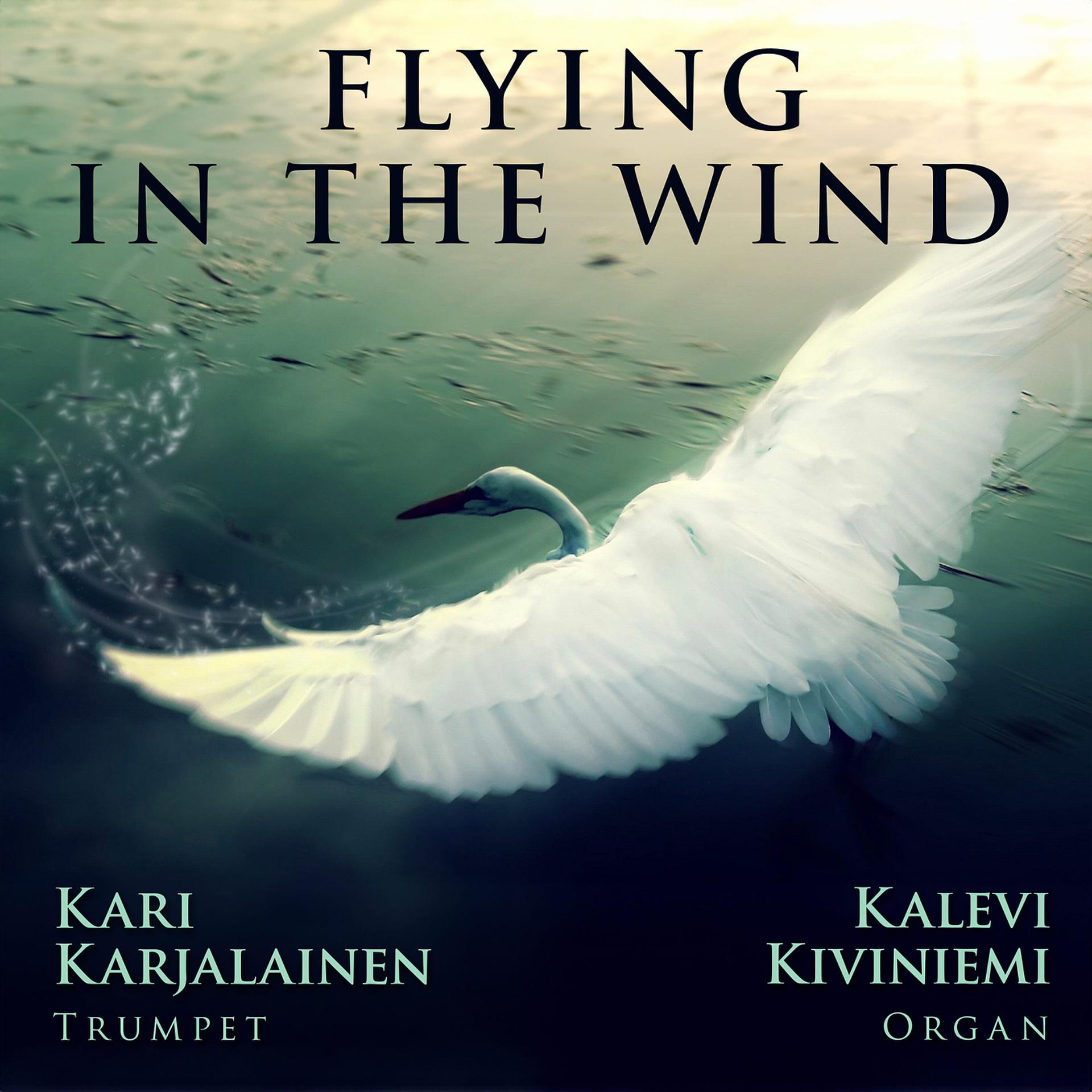 Постер альбома Flying in the Wind