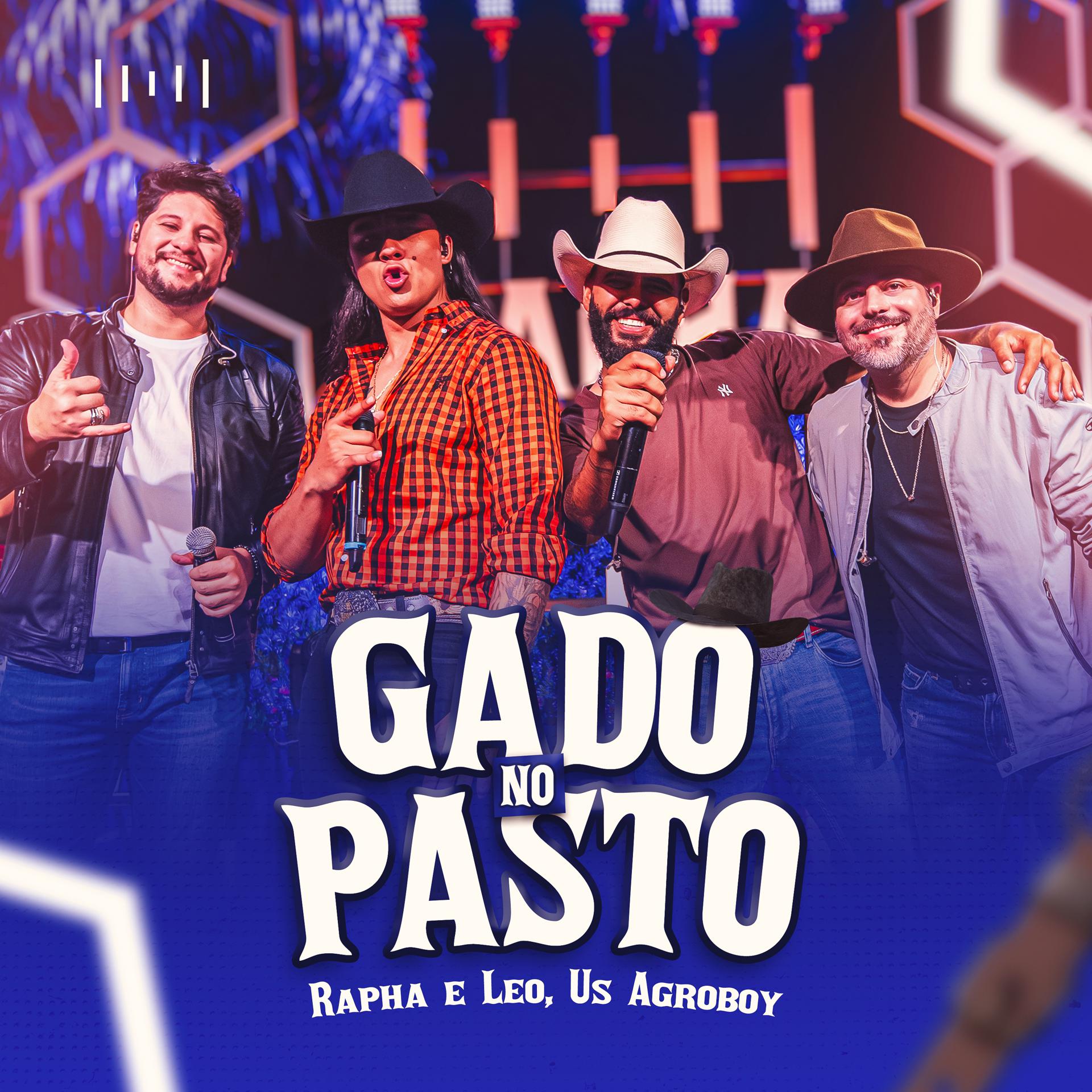 Постер альбома Gado no Pasto
