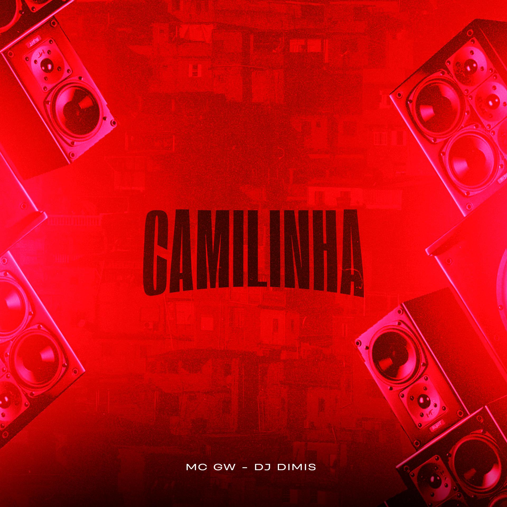 Постер альбома Camilinha
