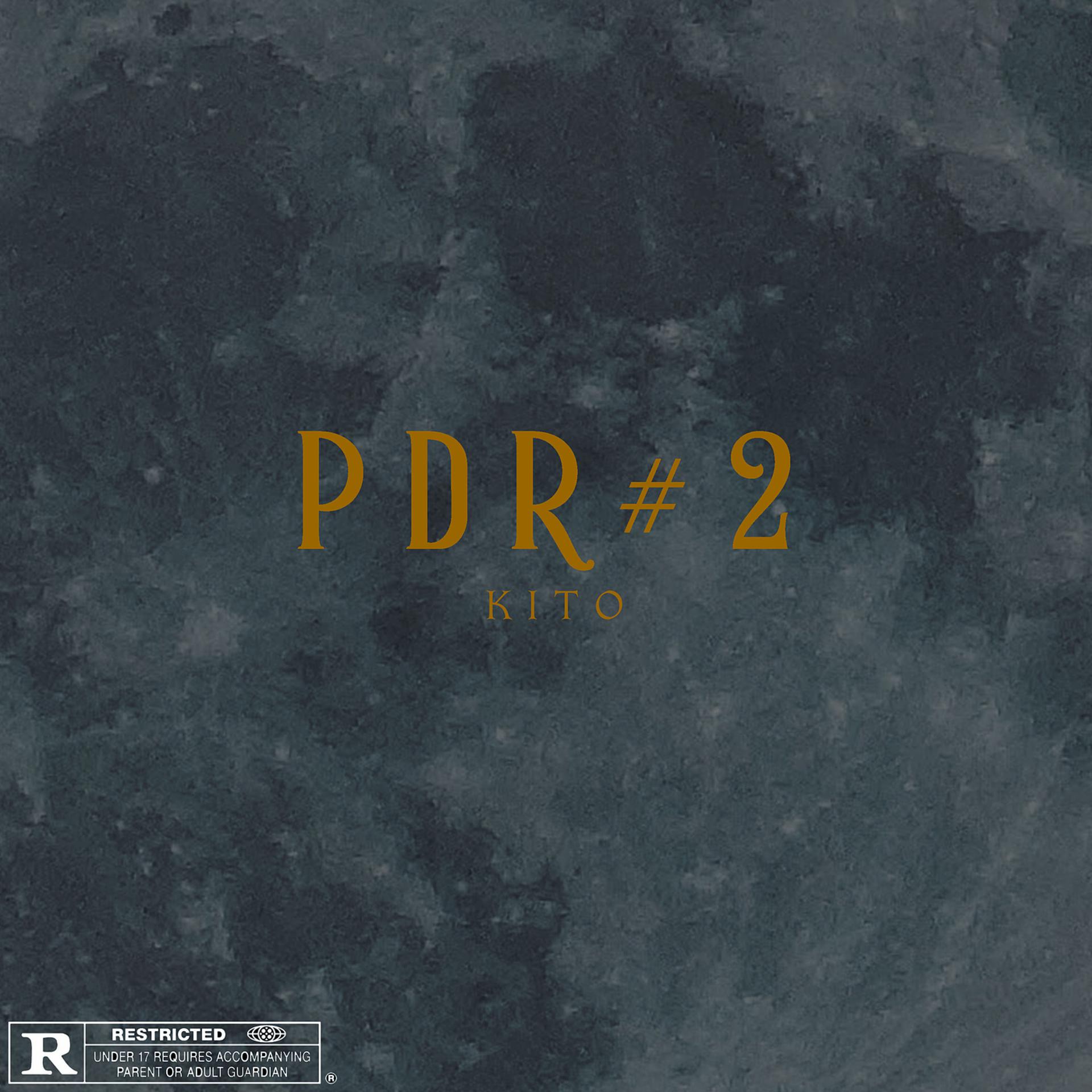 Постер альбома PDR2