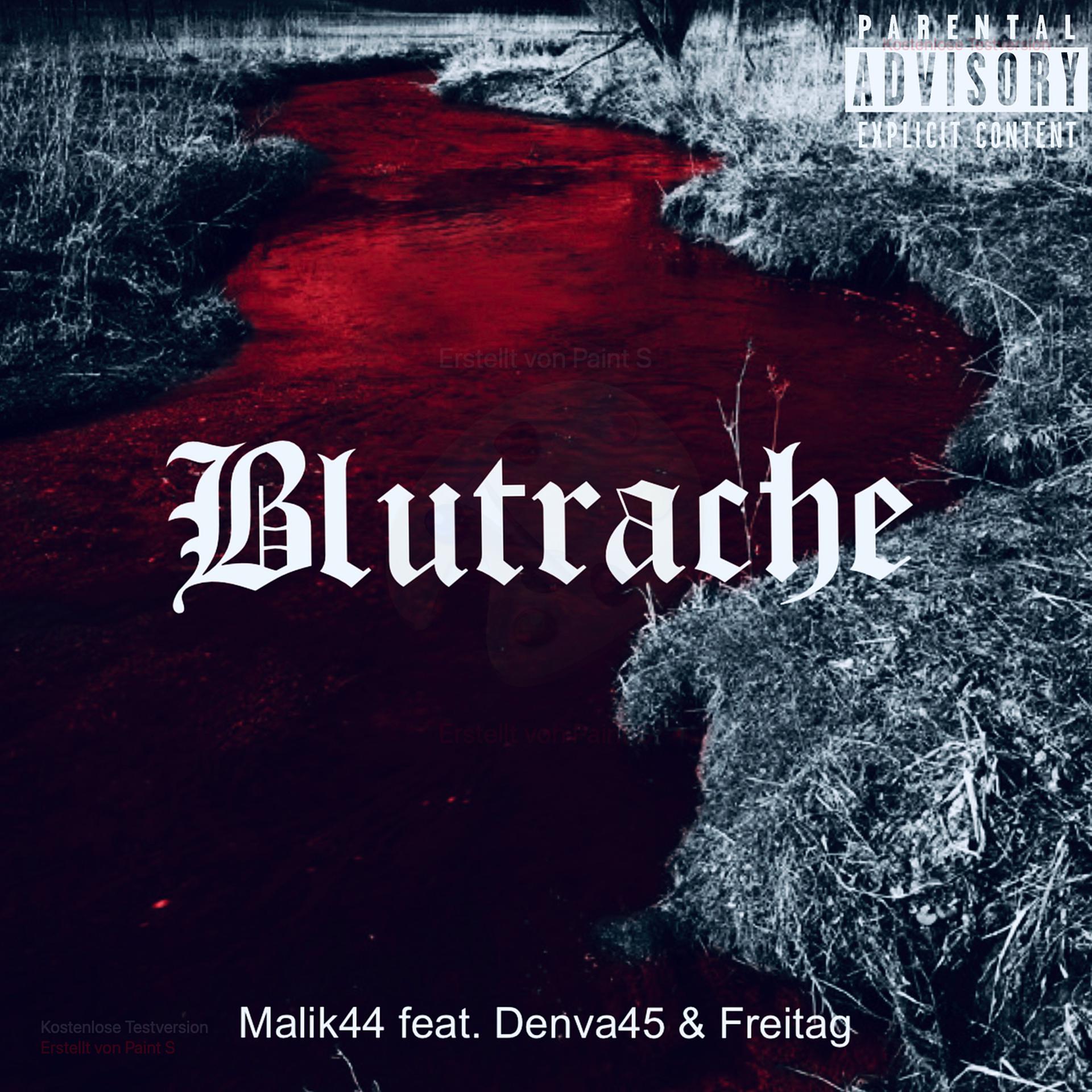 Постер альбома Blutrache