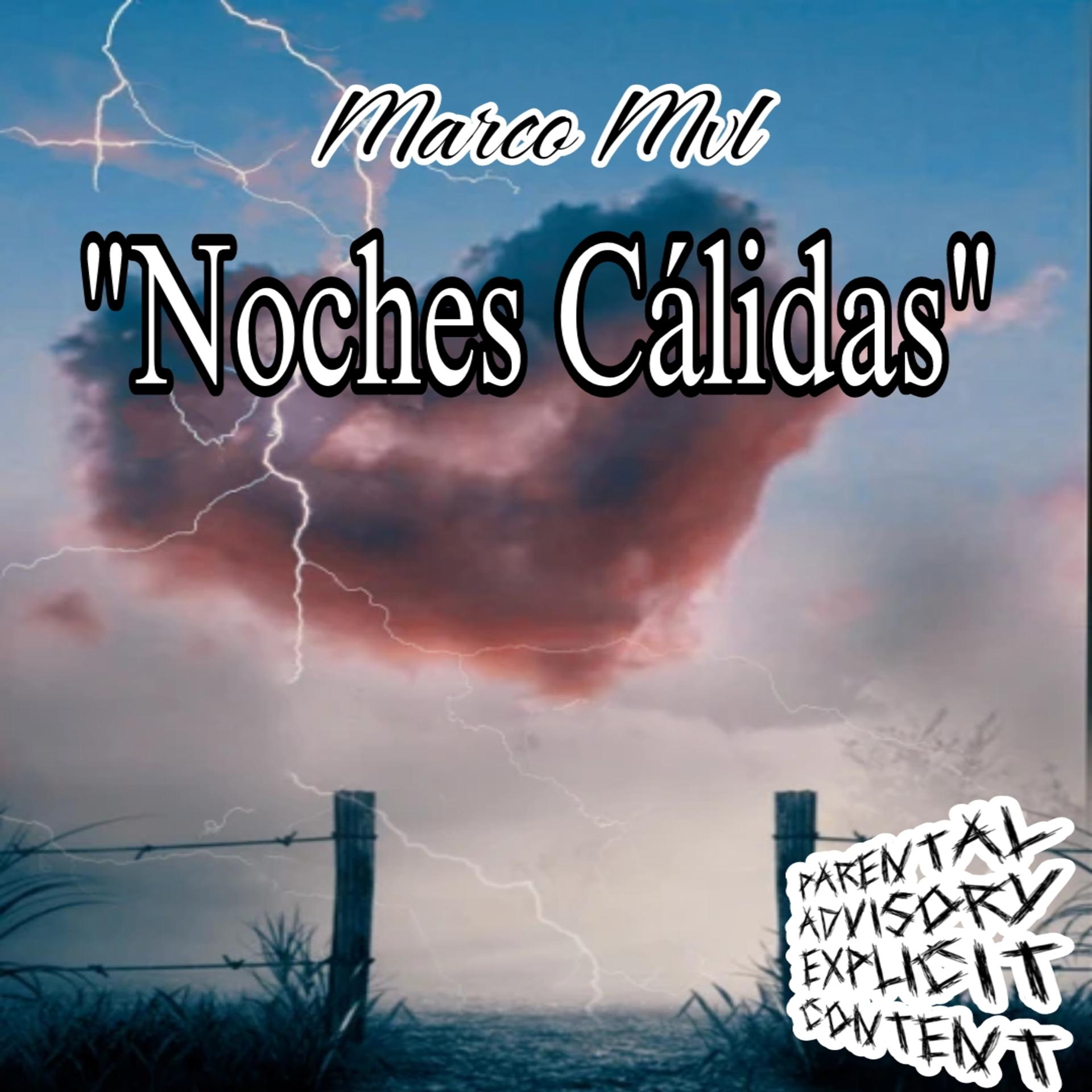 Постер альбома Noches Cálidas