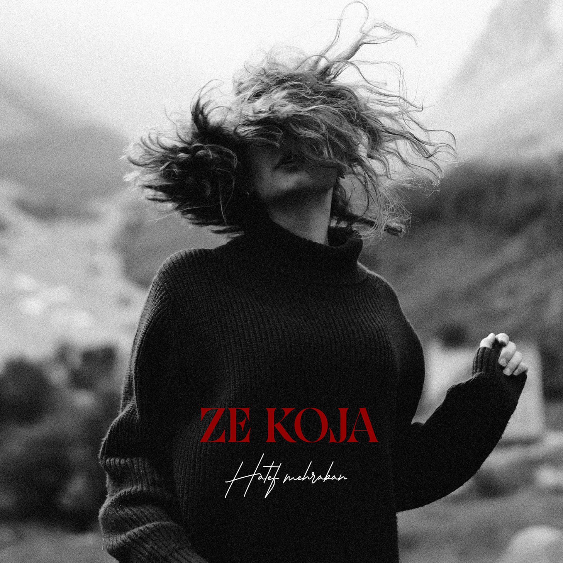 Постер альбома Ze Koja