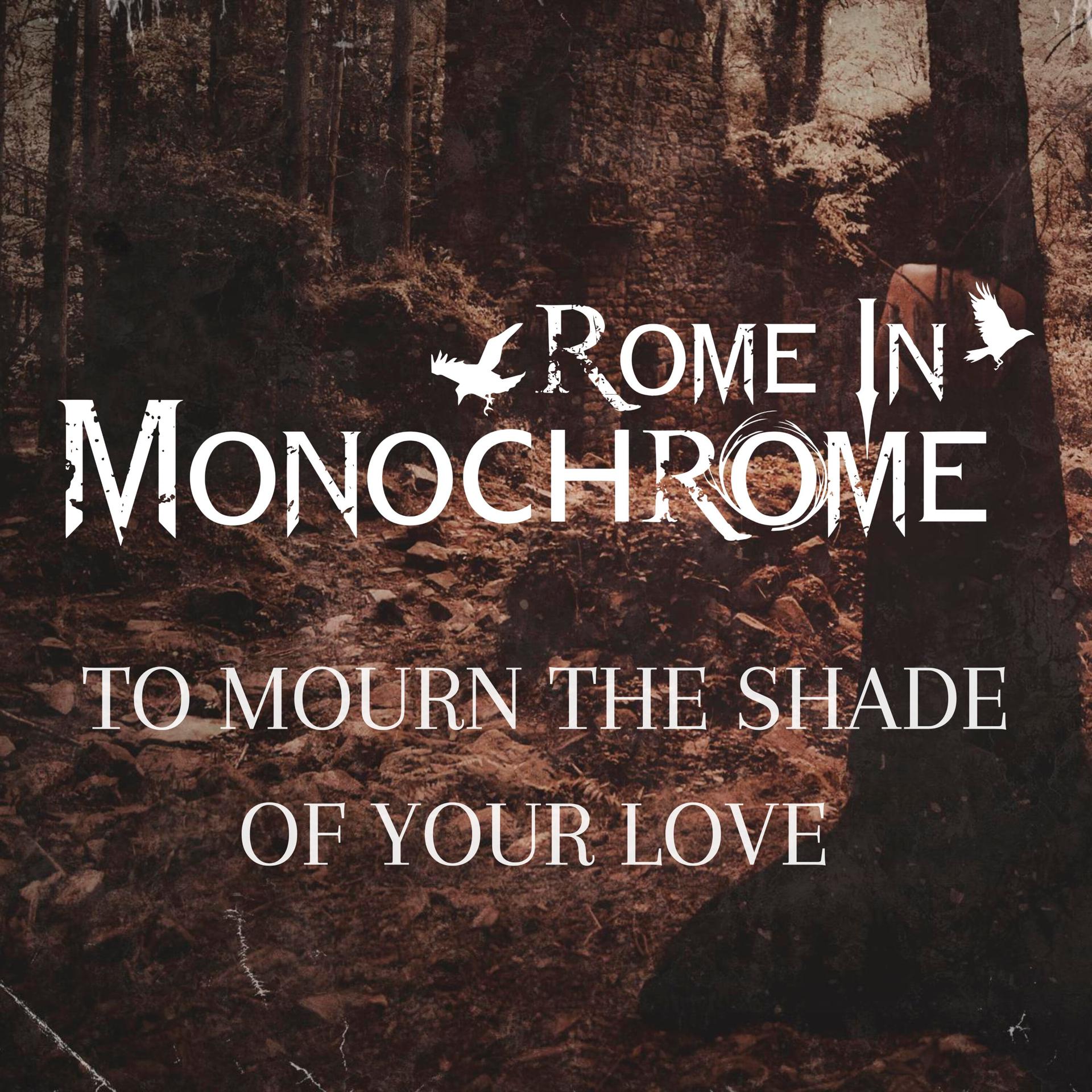 Постер альбома To Mourn The Shade Of Your Love