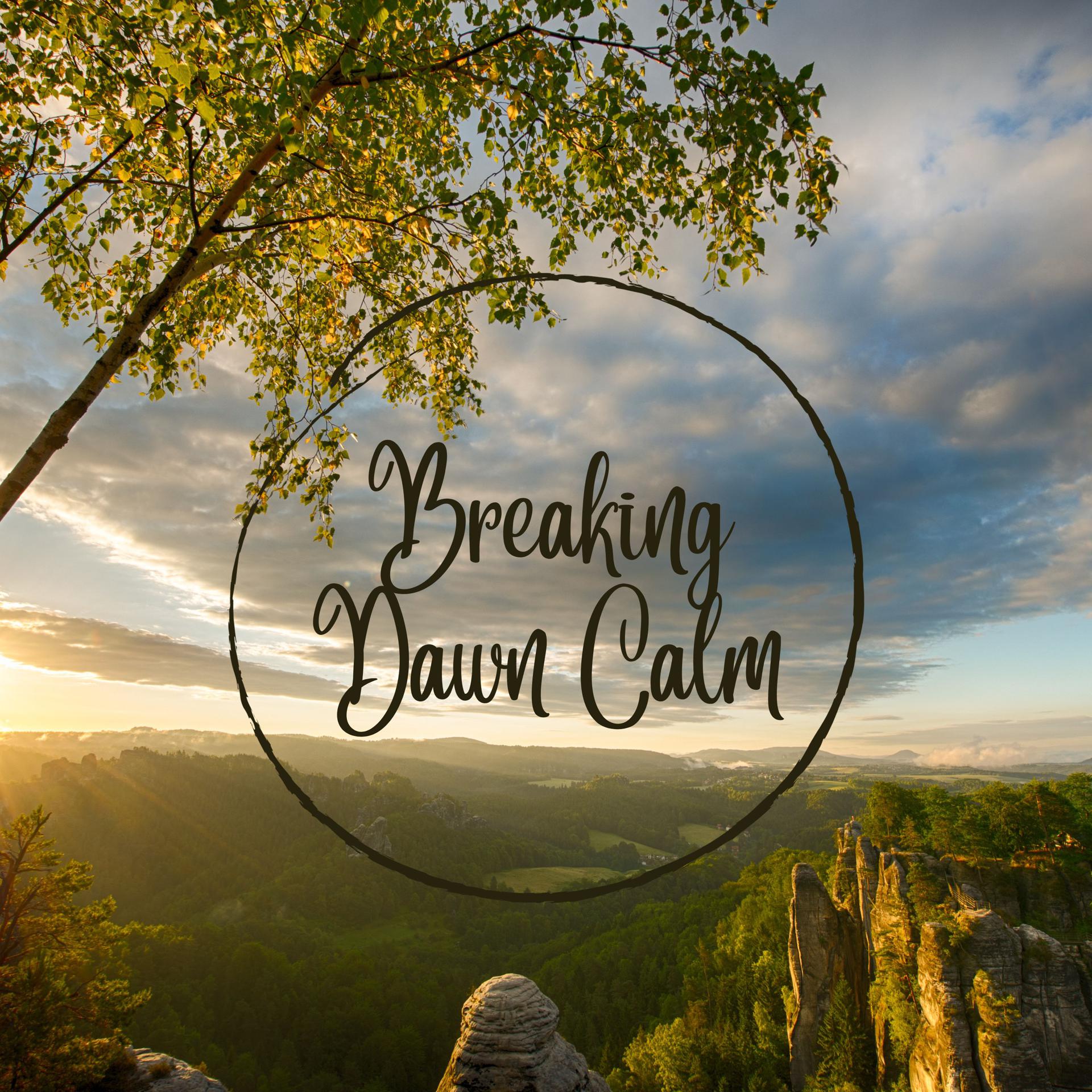 Постер альбома Breaking Dawn Calm