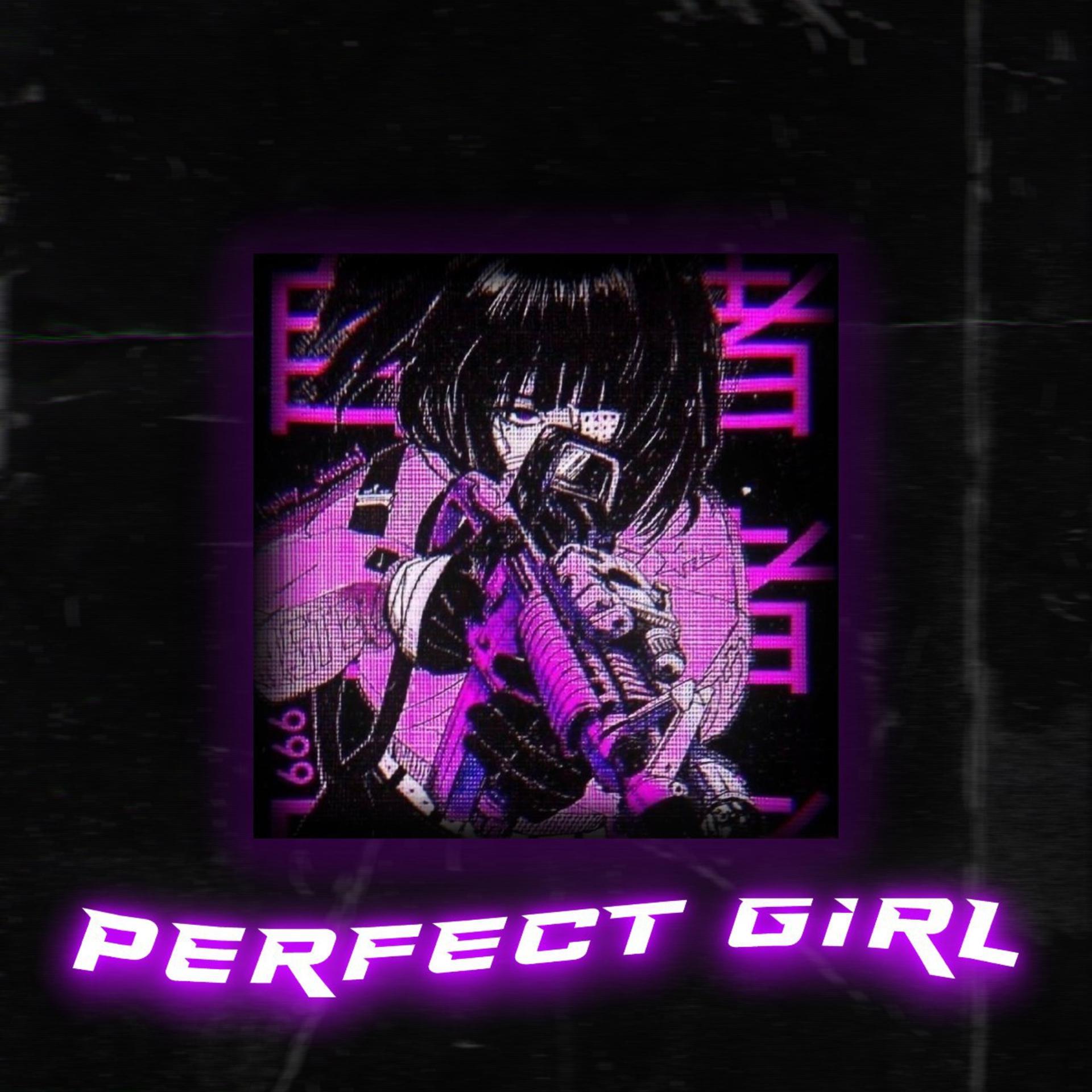 Постер альбома PERFECT GIRL