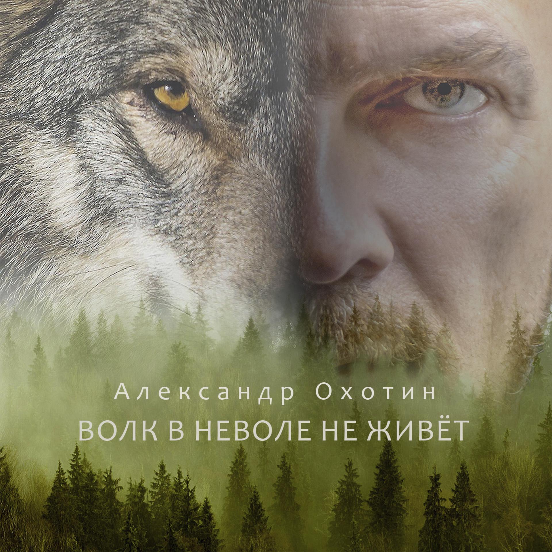 Постер альбома Волк в неволе не живёт