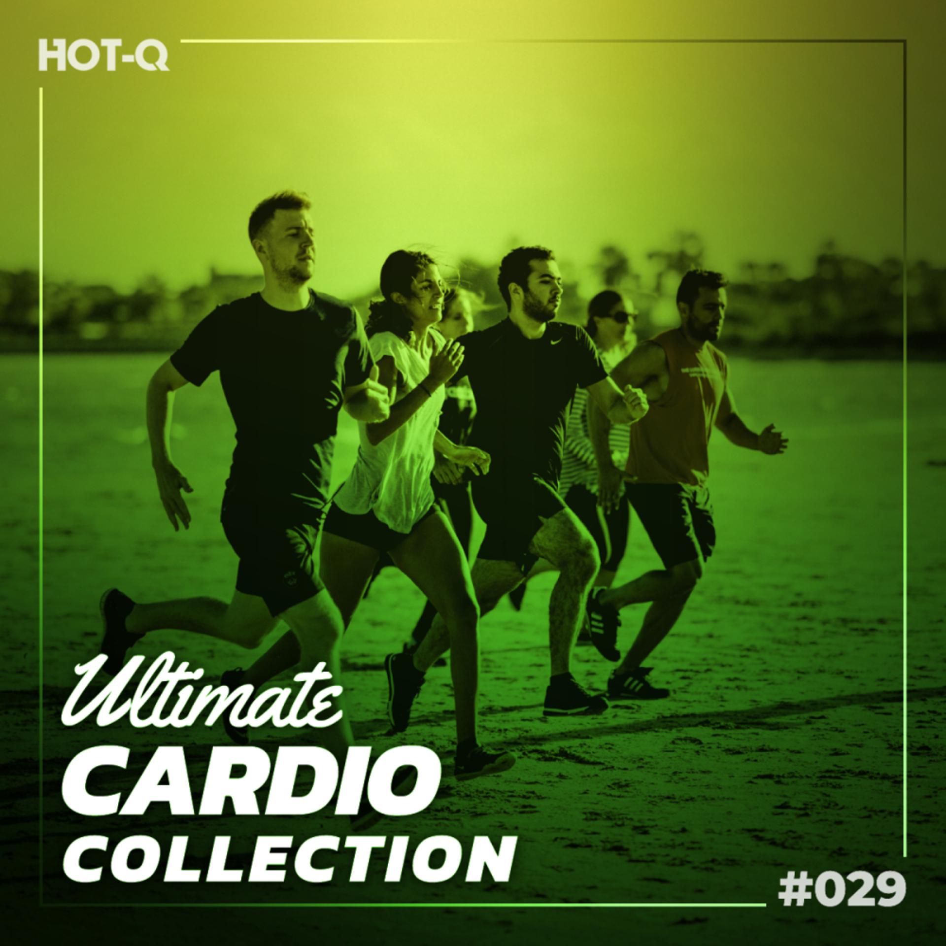 Постер альбома Ultimate Cardio Collection 029