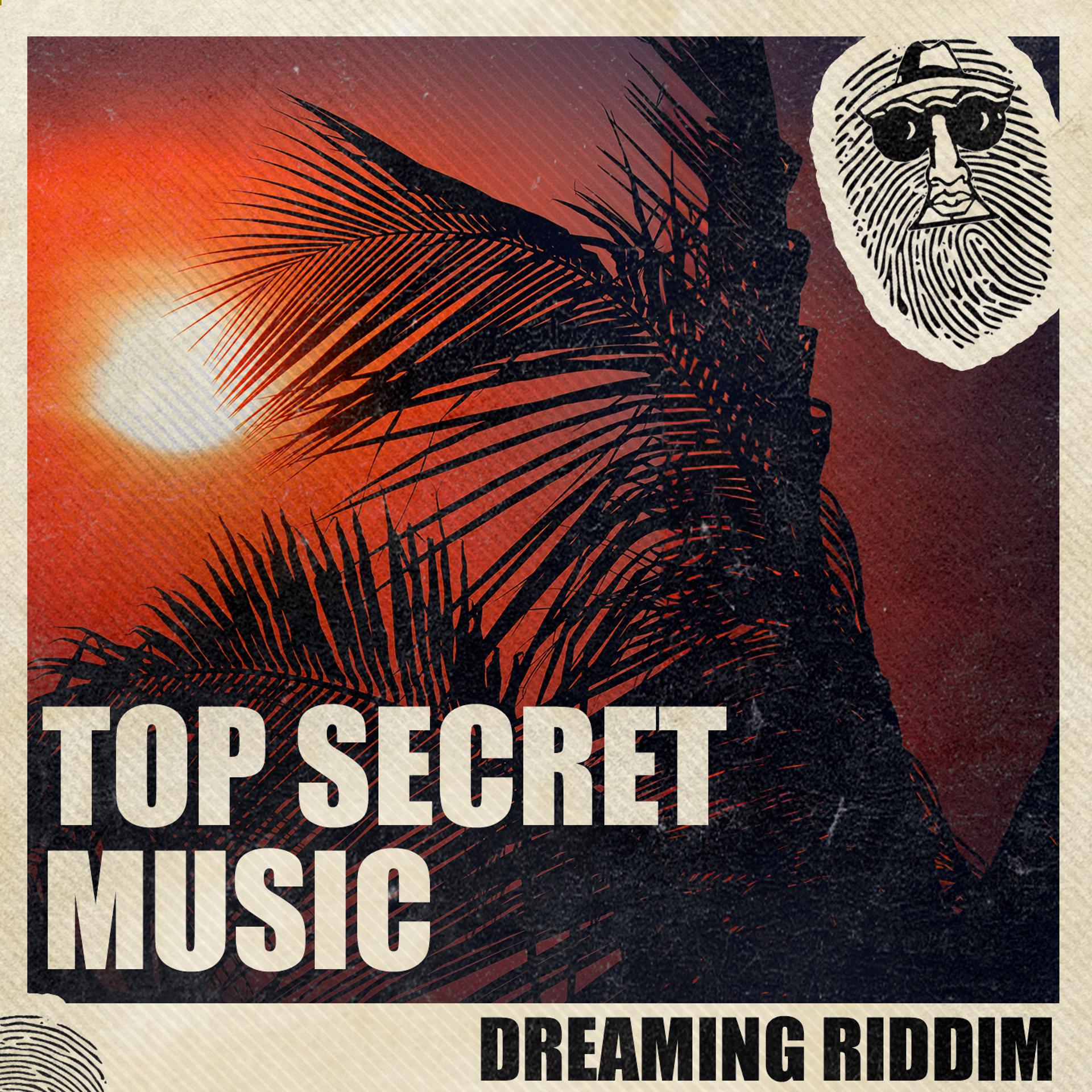 Постер альбома Dreaming Riddim