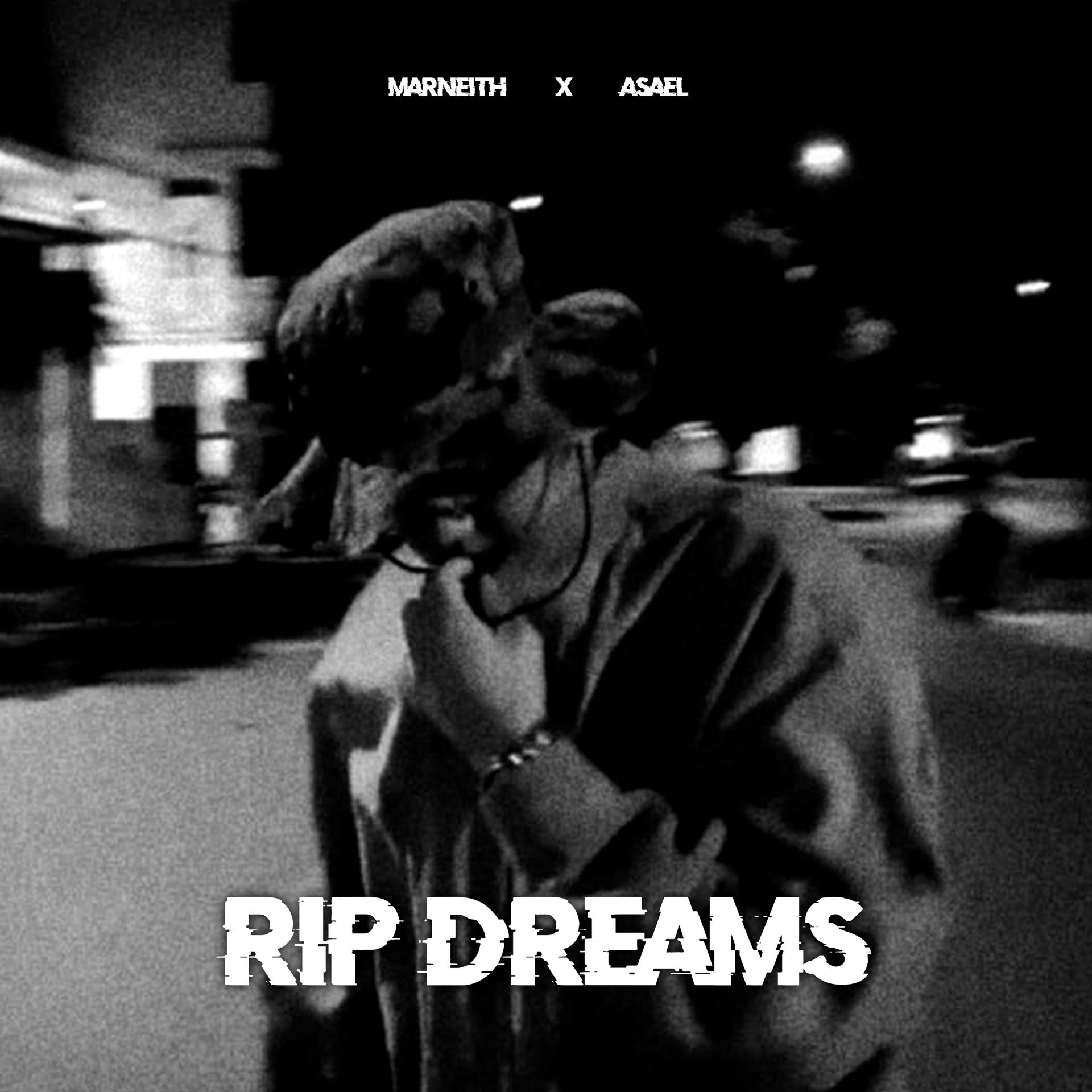 Постер альбома Rip Dreams