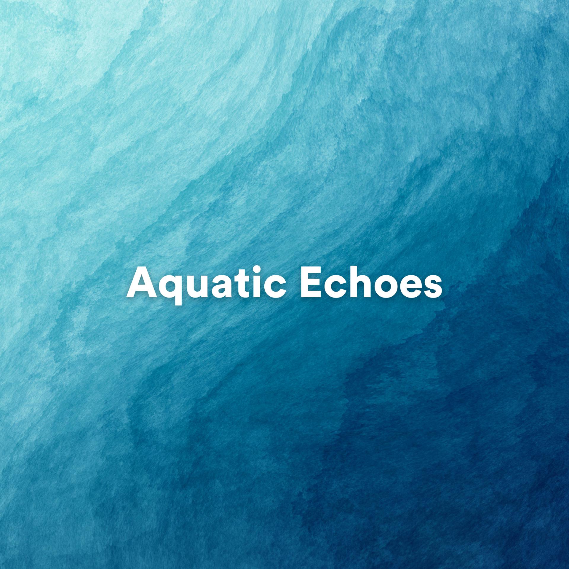 Постер альбома Aquatic Echoes
