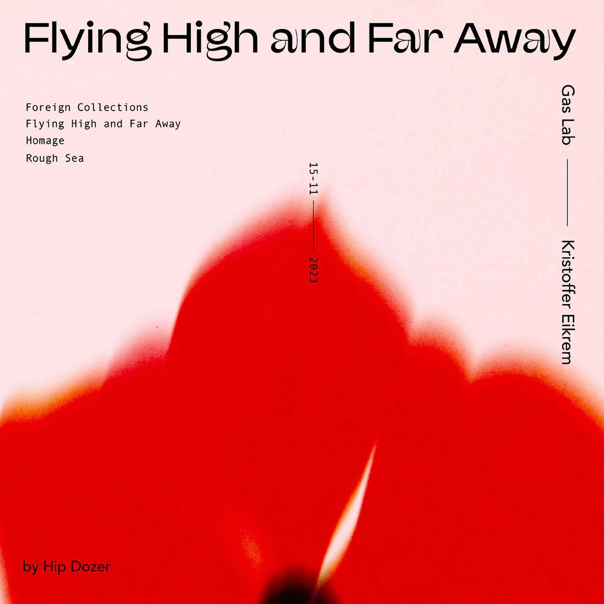 Постер альбома Flying High and Far Away