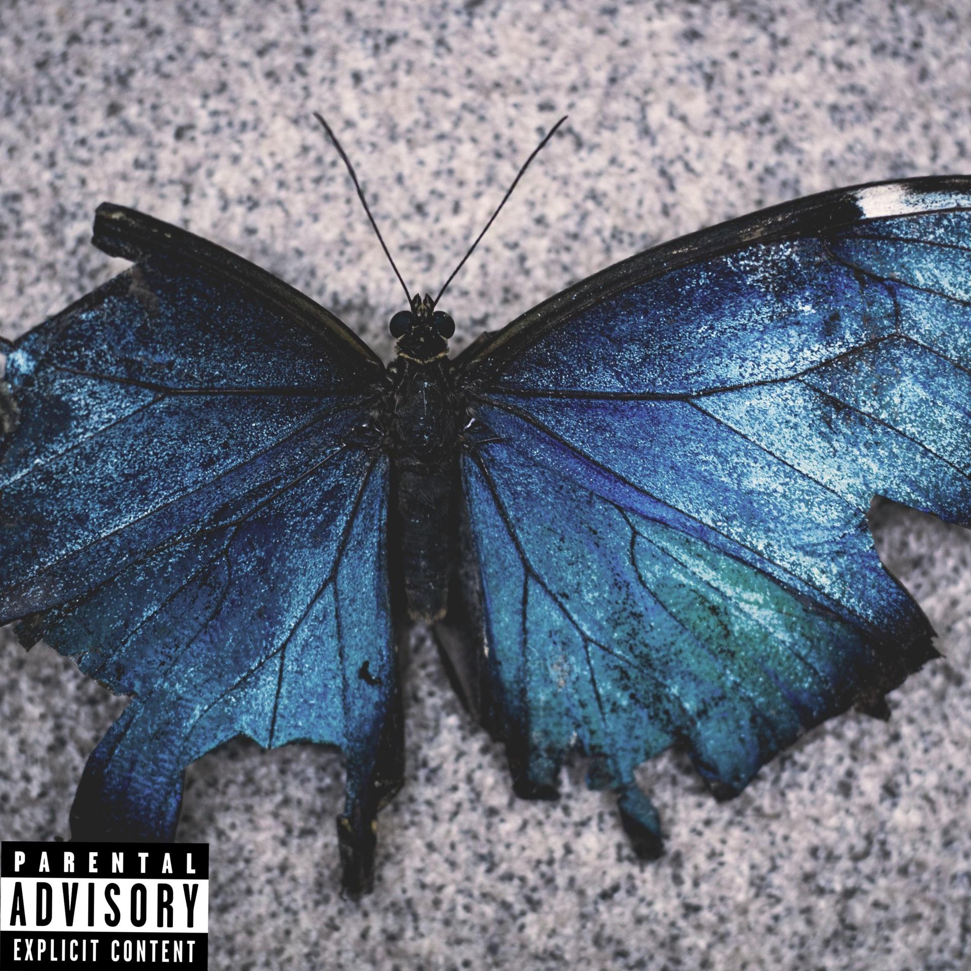 Постер альбома Butterfly McKnight