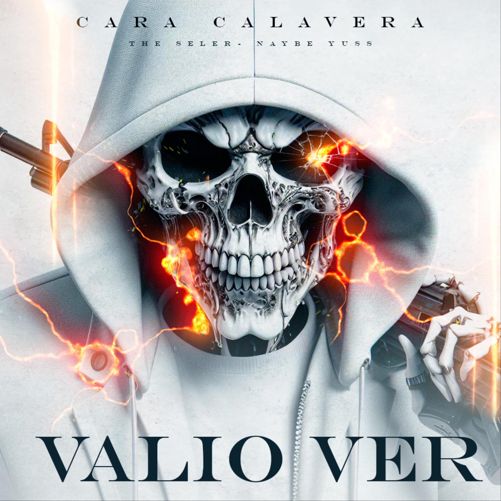 Постер альбома Valio Ver