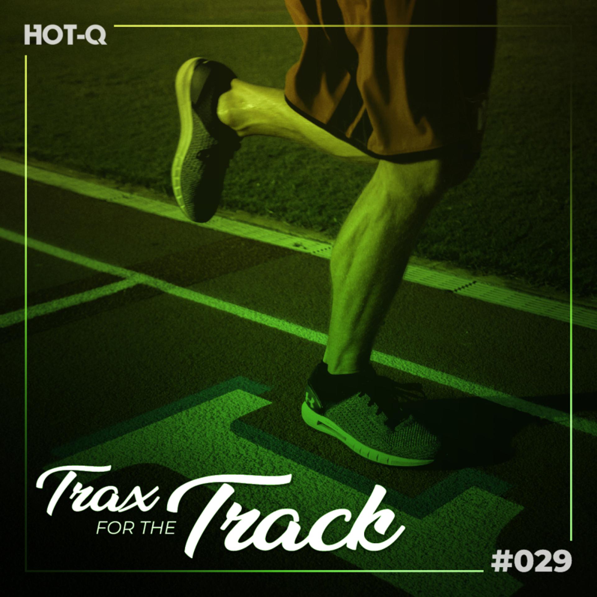 Постер альбома Trax For The Track 029