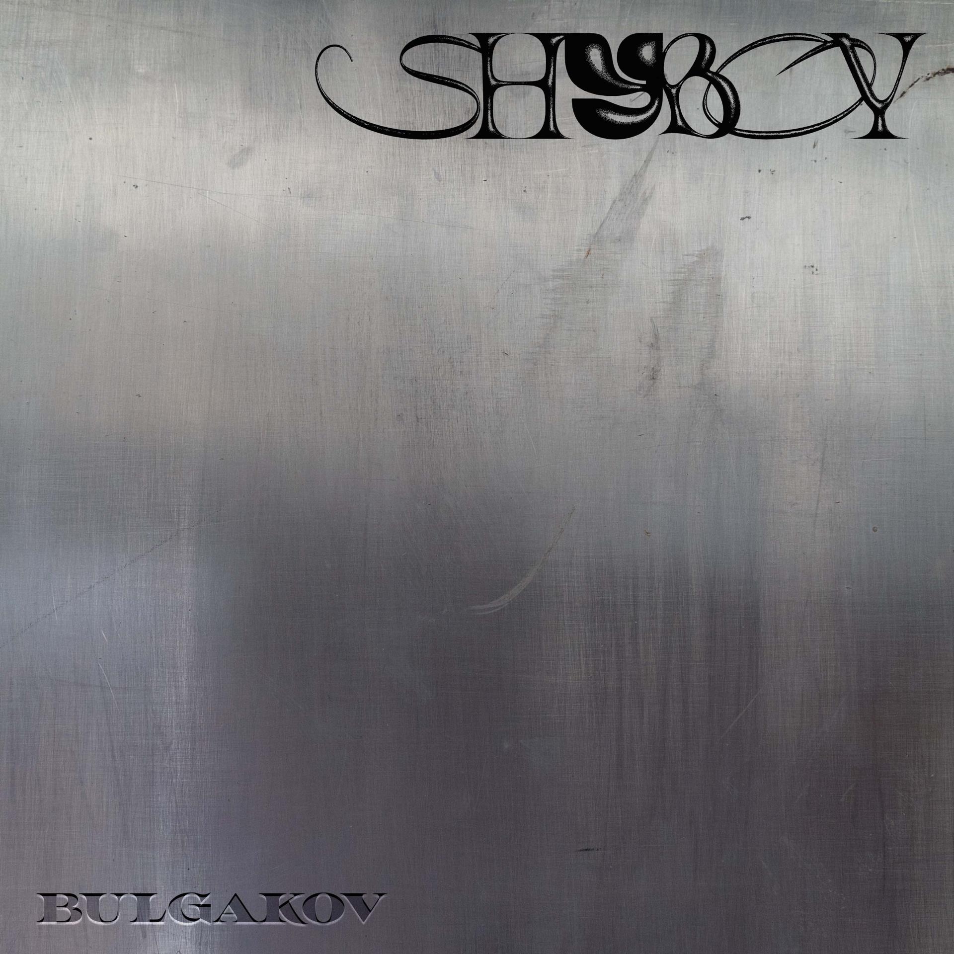Постер альбома Shyboy