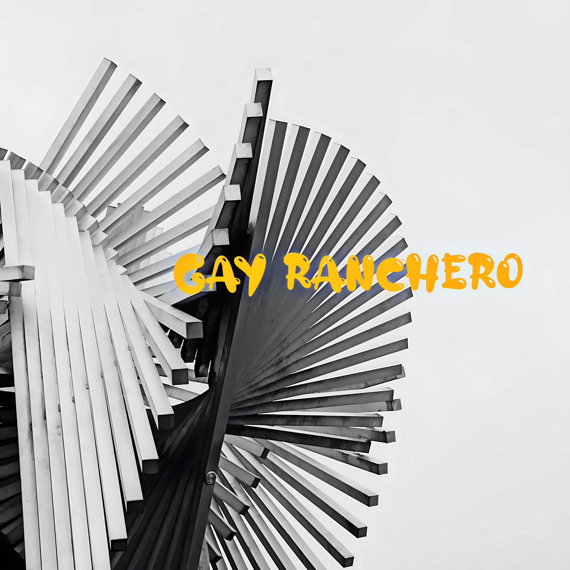Постер альбома Gay Ranchero