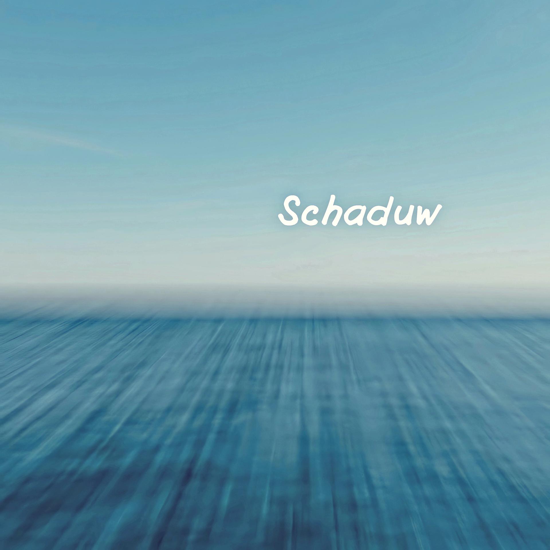 Постер альбома Schaduw