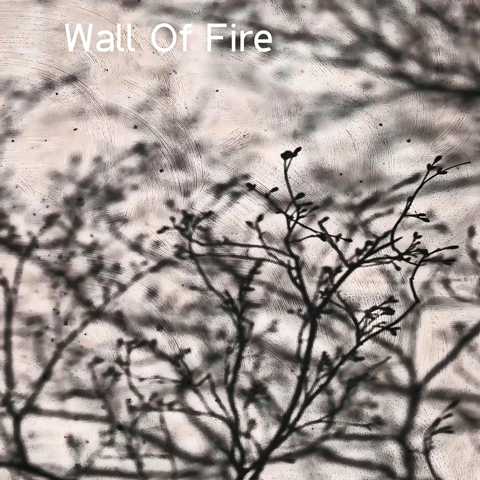 Постер альбома Wall Of Fire