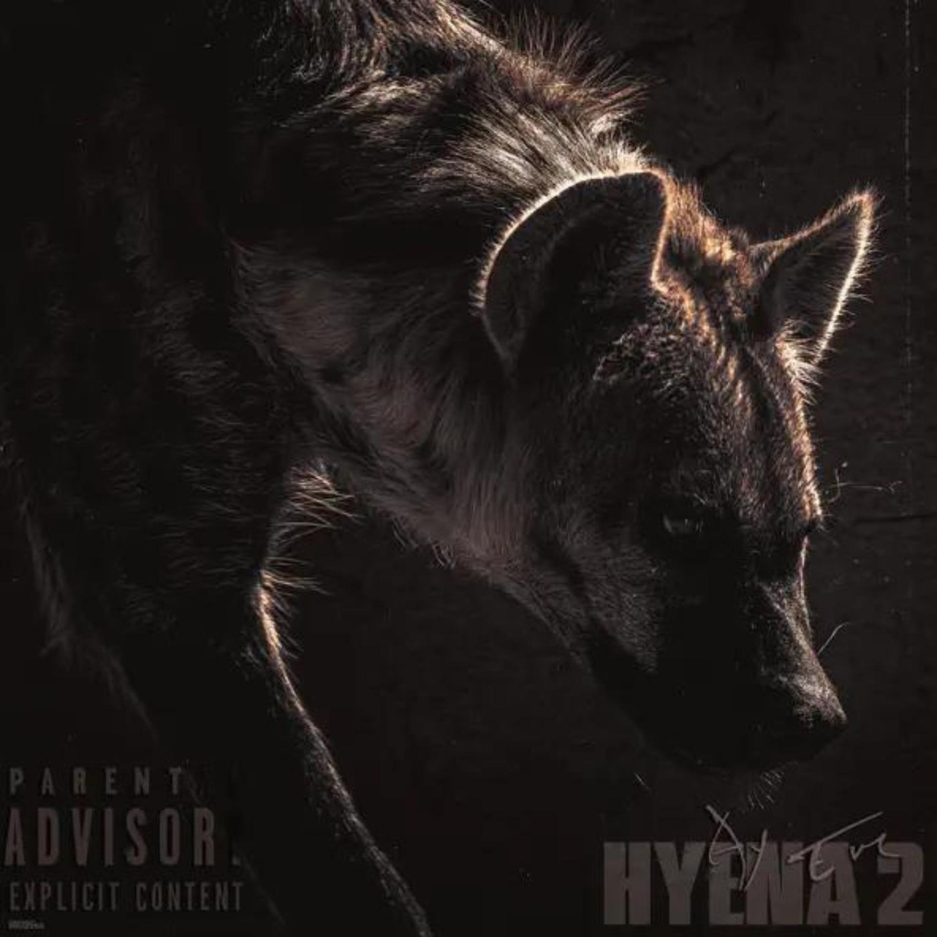 Постер альбома Hyena 2
