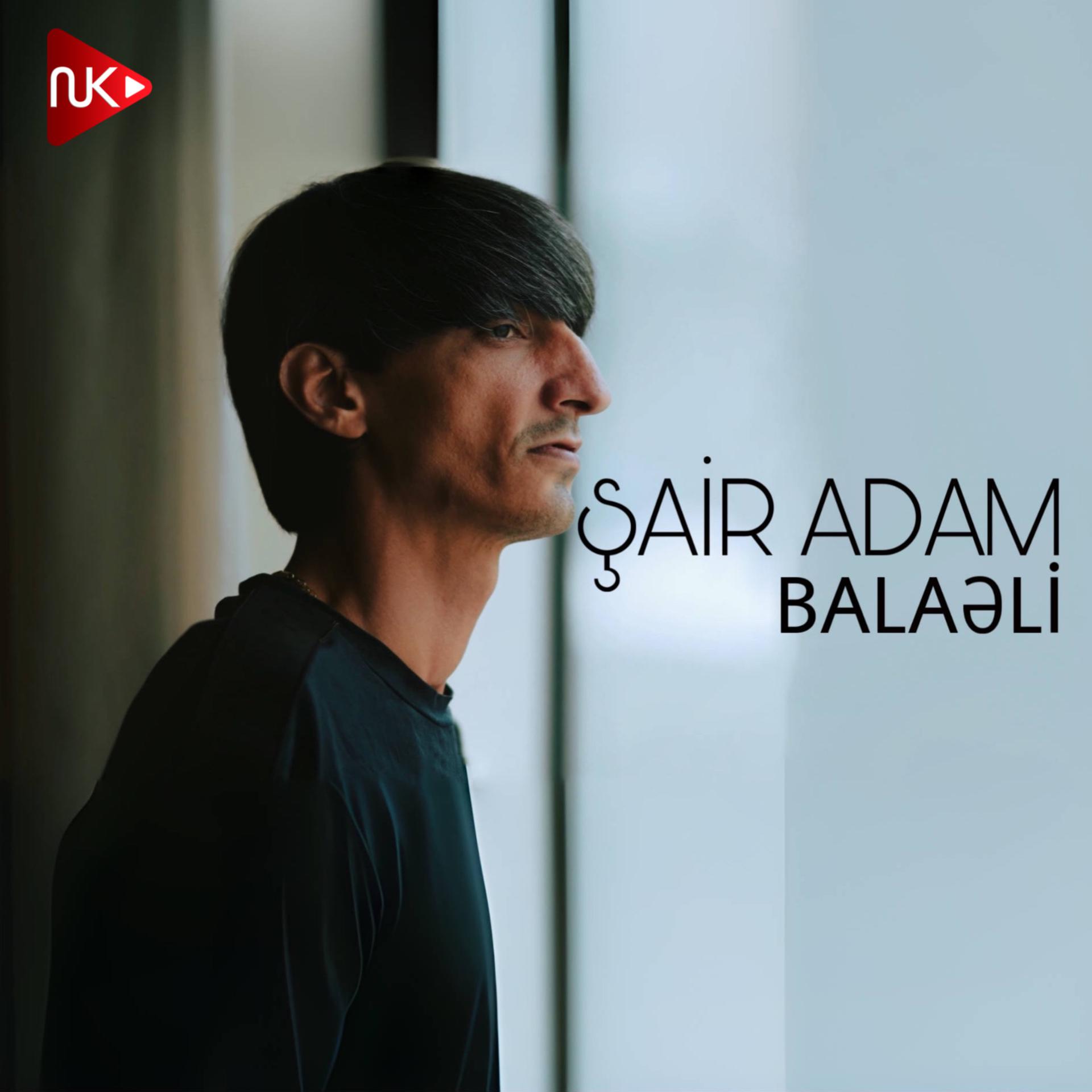 Постер альбома Şair Adam