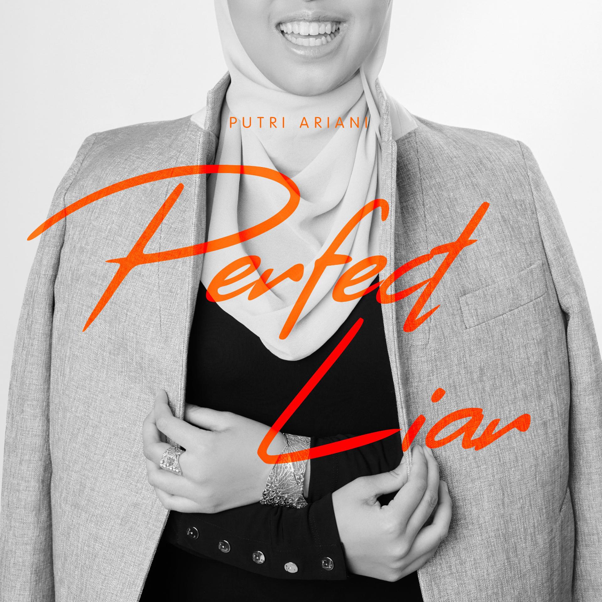 Постер альбома Perfect Liar