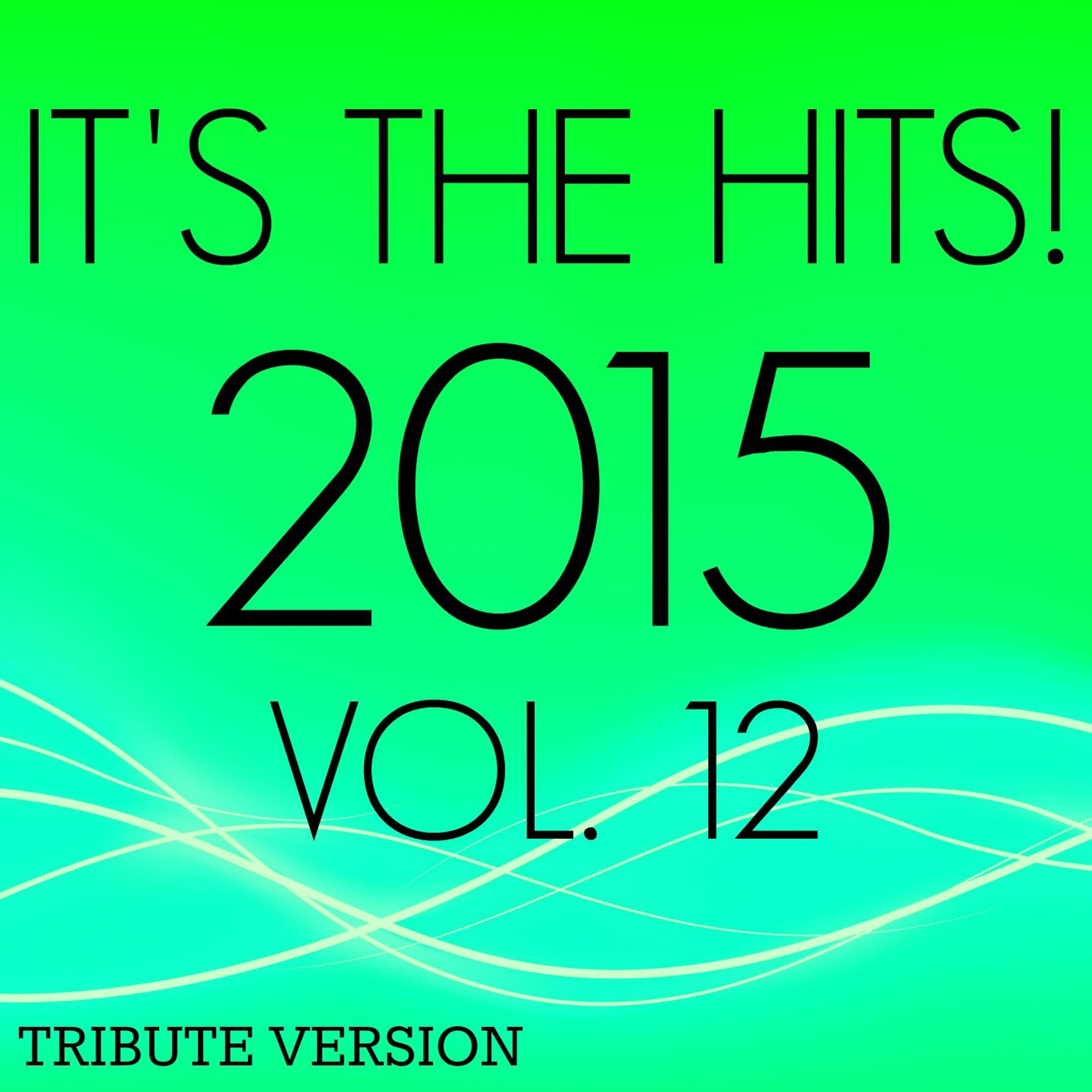 Постер альбома It's the Hits! 2015, Vol.12