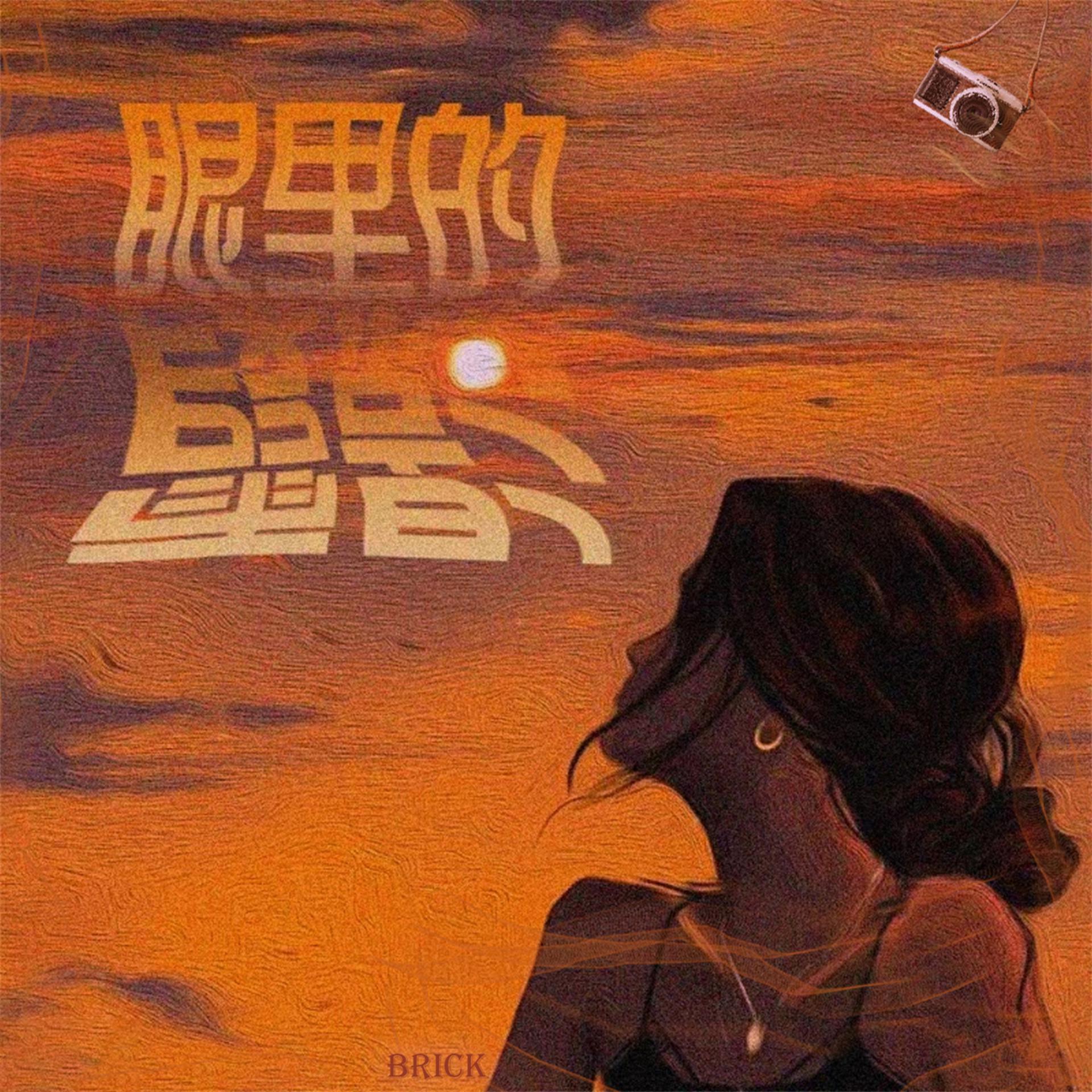 Постер альбома 眼里的霞影