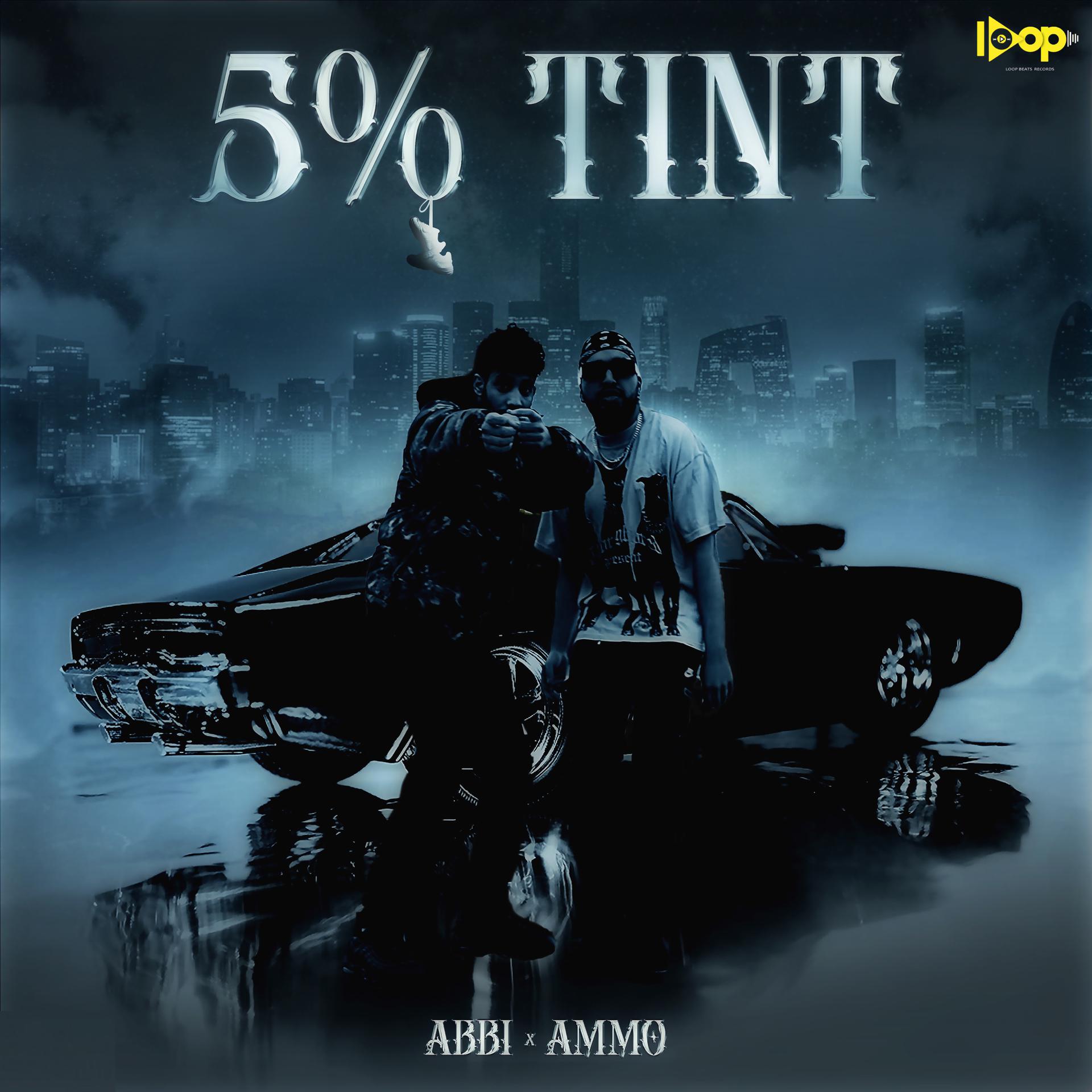 Постер альбома 5% Tint