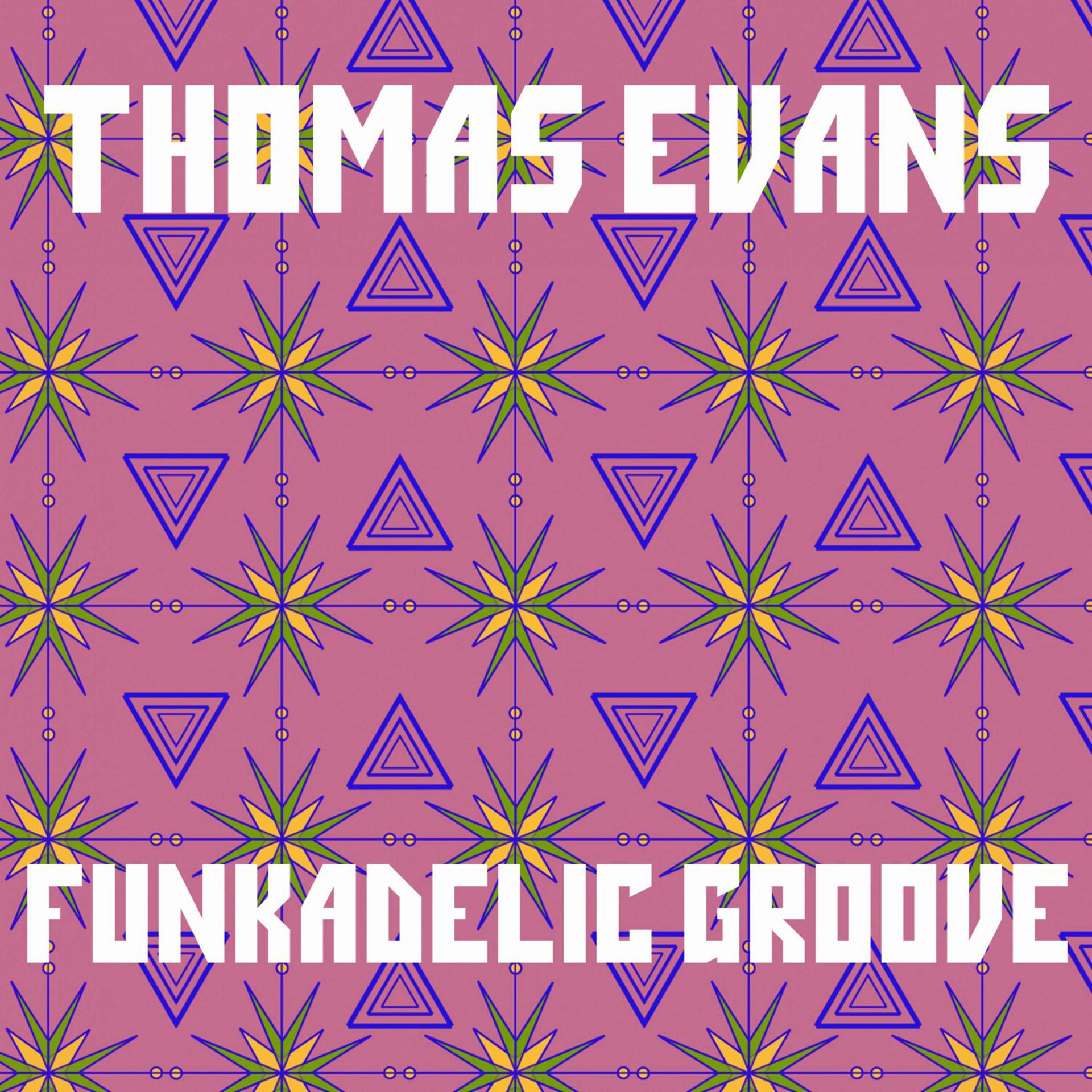 Постер альбома Funkadelic Groove