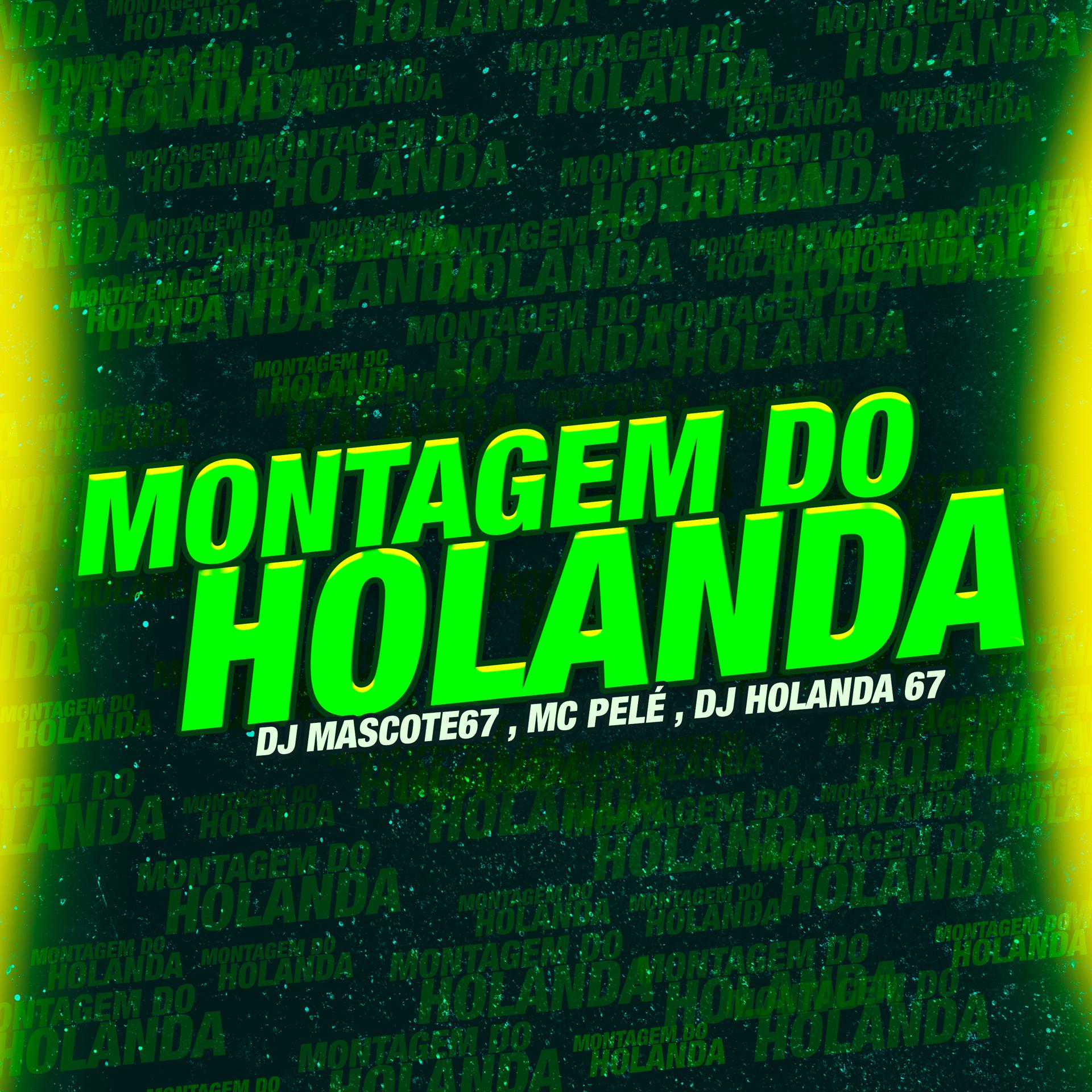 Постер альбома Montagem do Holanda