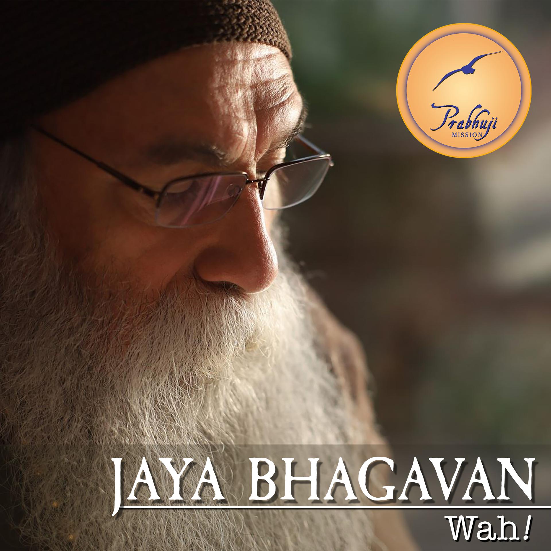 Постер альбома Jaya Bhagavan