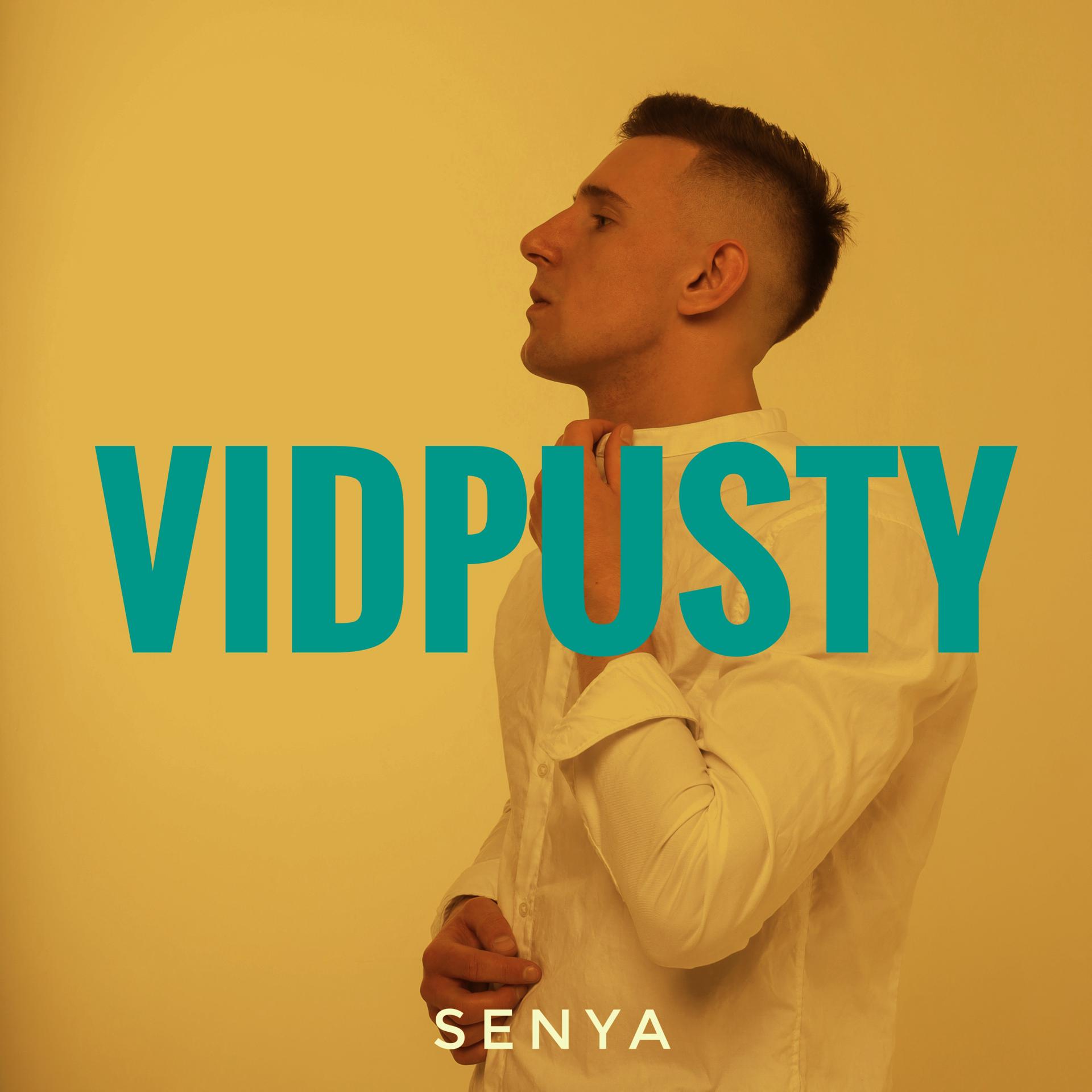 Постер альбома Vidpusty