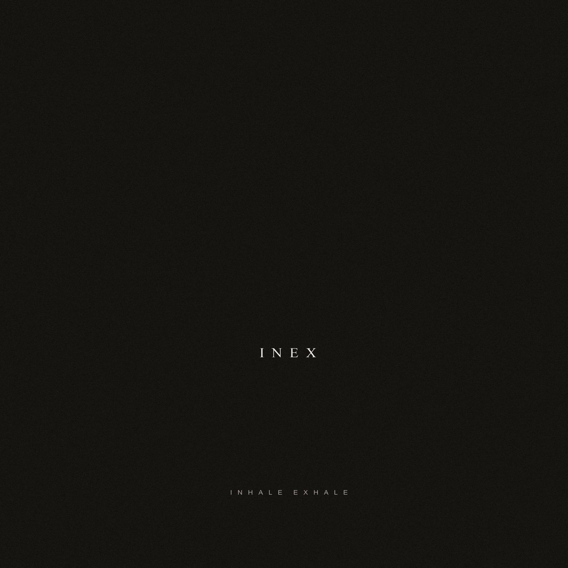 Постер альбома Inex