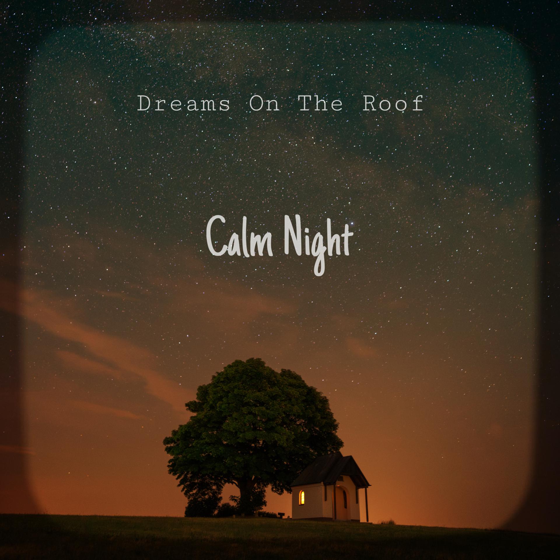 Постер альбома Calm Night