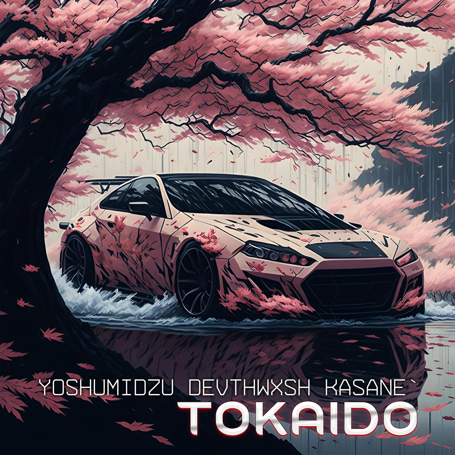 Постер альбома TOKAIDO