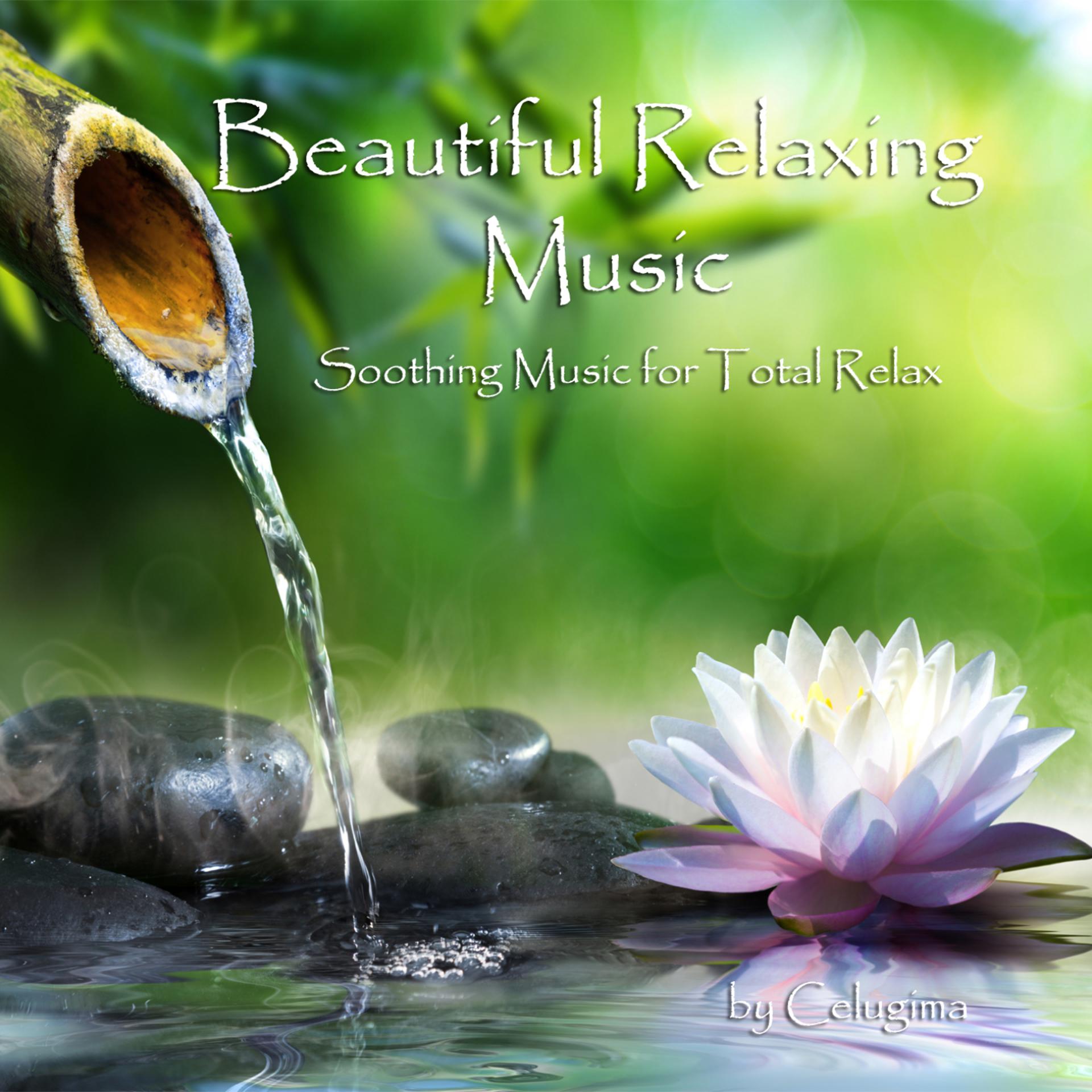Постер альбома Beauiful relaxing music