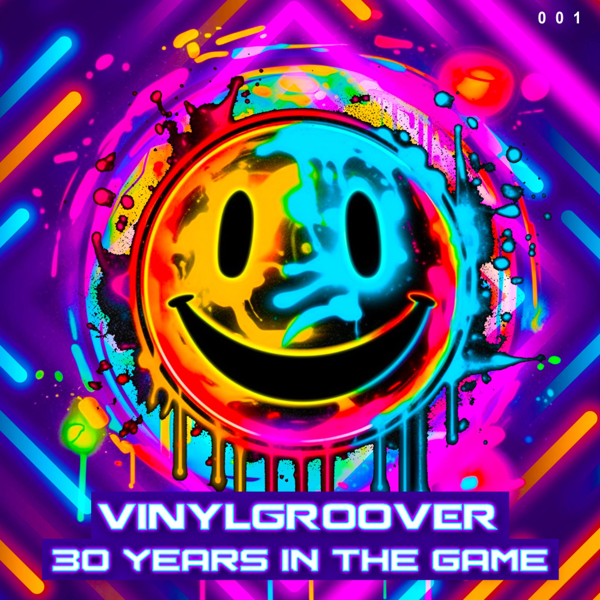 Постер альбома Vinylgroover - 30 Years In The Game