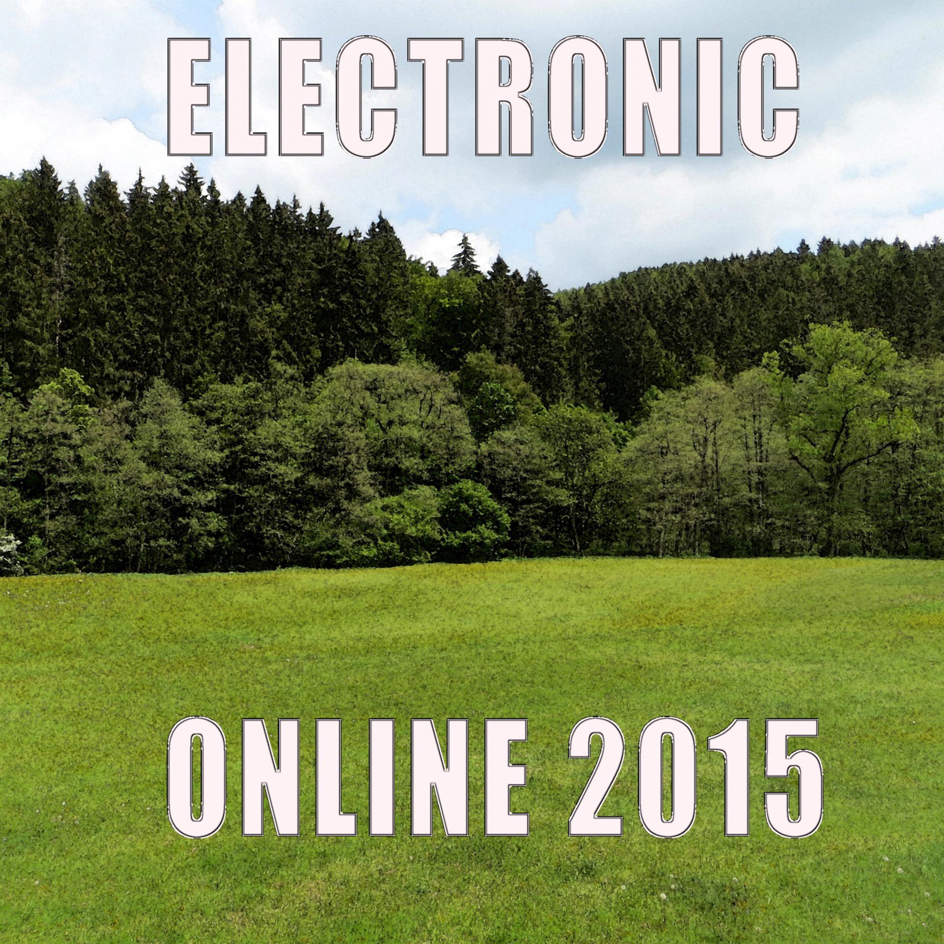 Постер альбома Electronic Online 2015