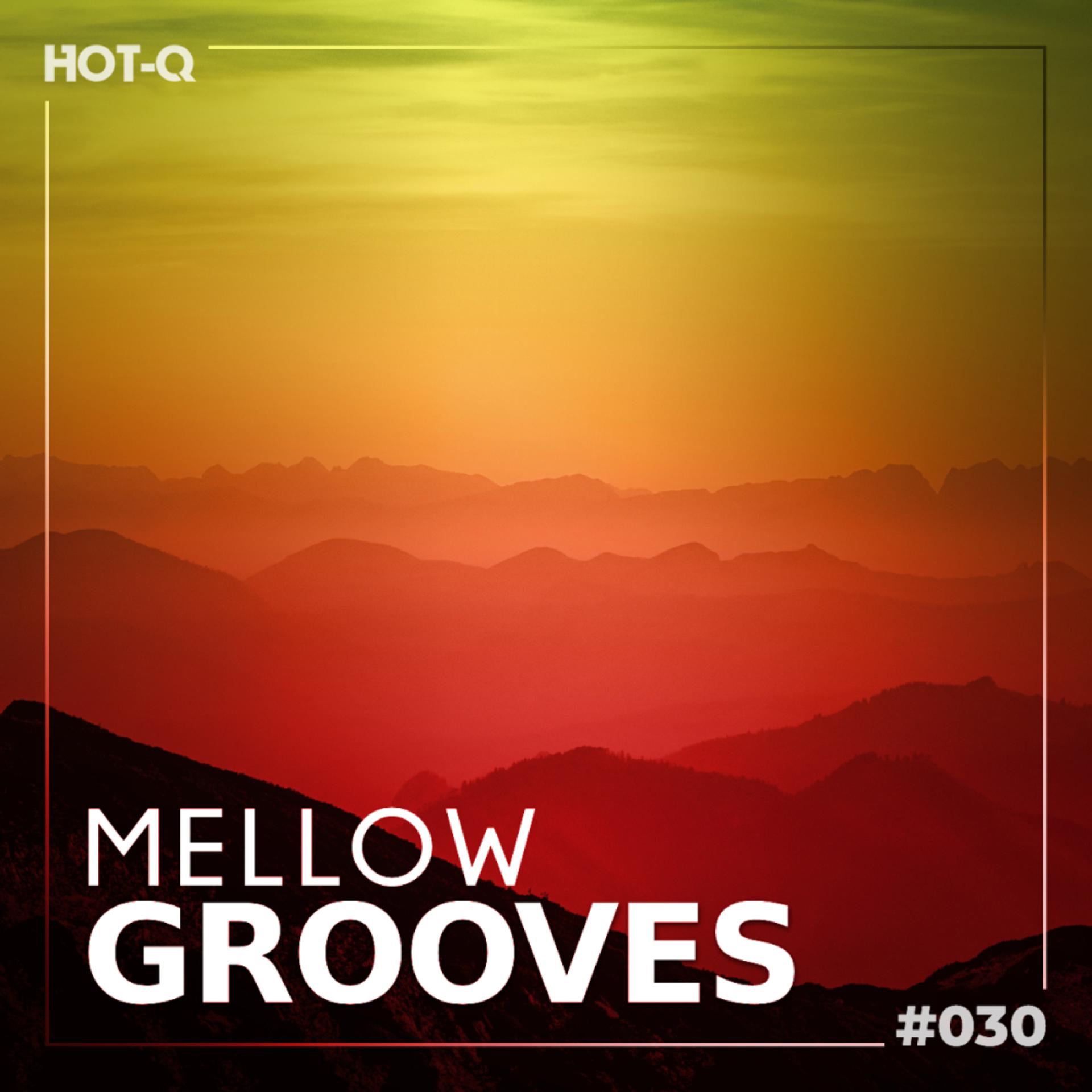 Постер альбома Mellow Grooves 030